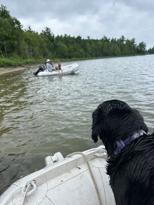 Kona saying good-bye to Holly