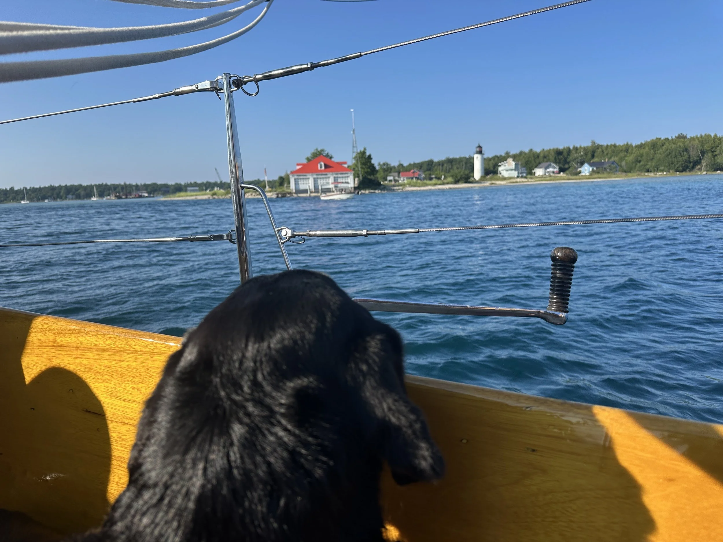 Kona smells land!