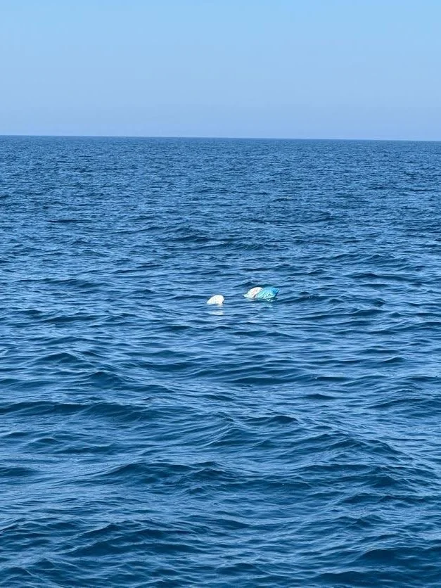 Something in the water?