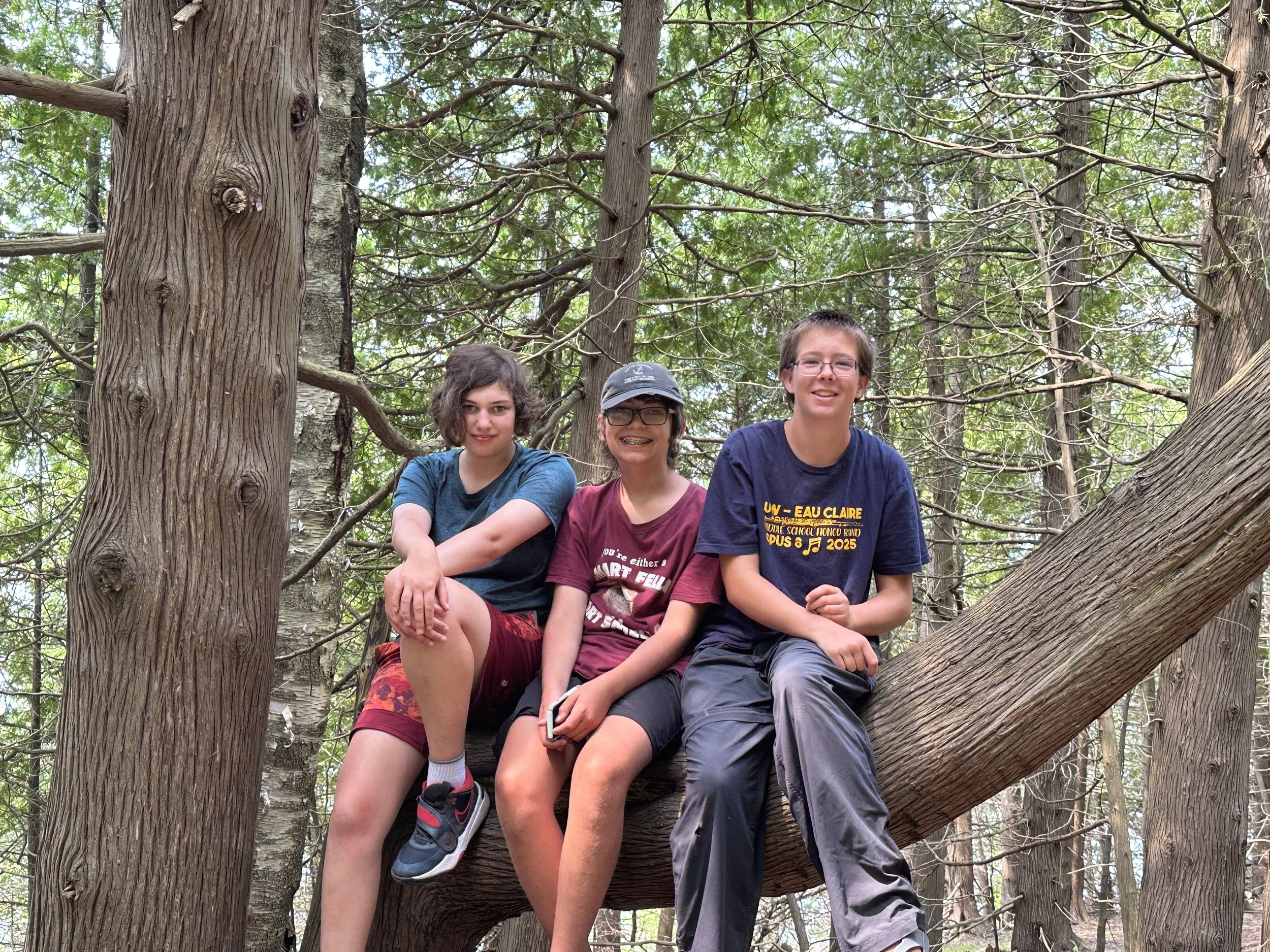 Kids in a tree!