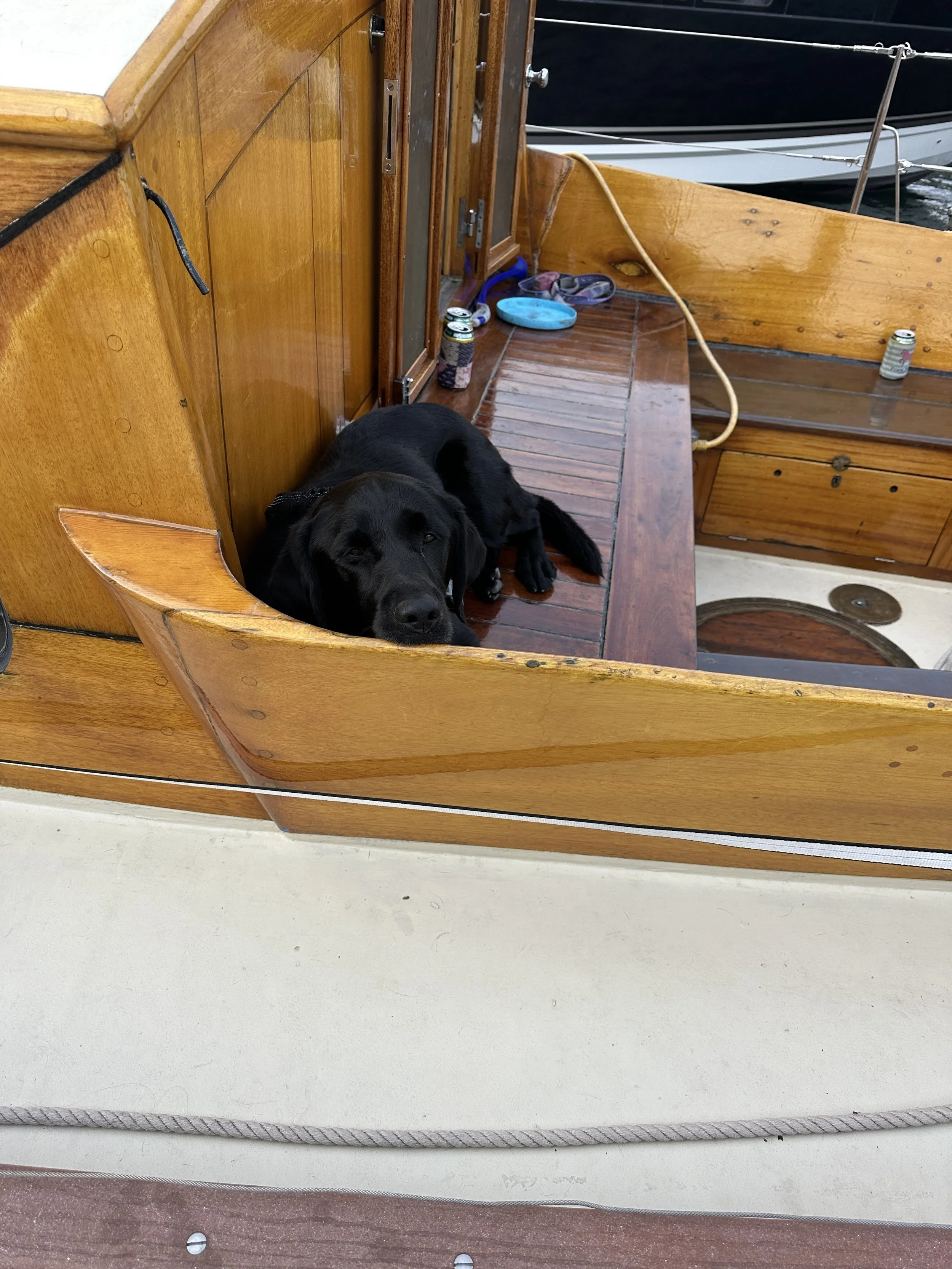 Worn out Kona