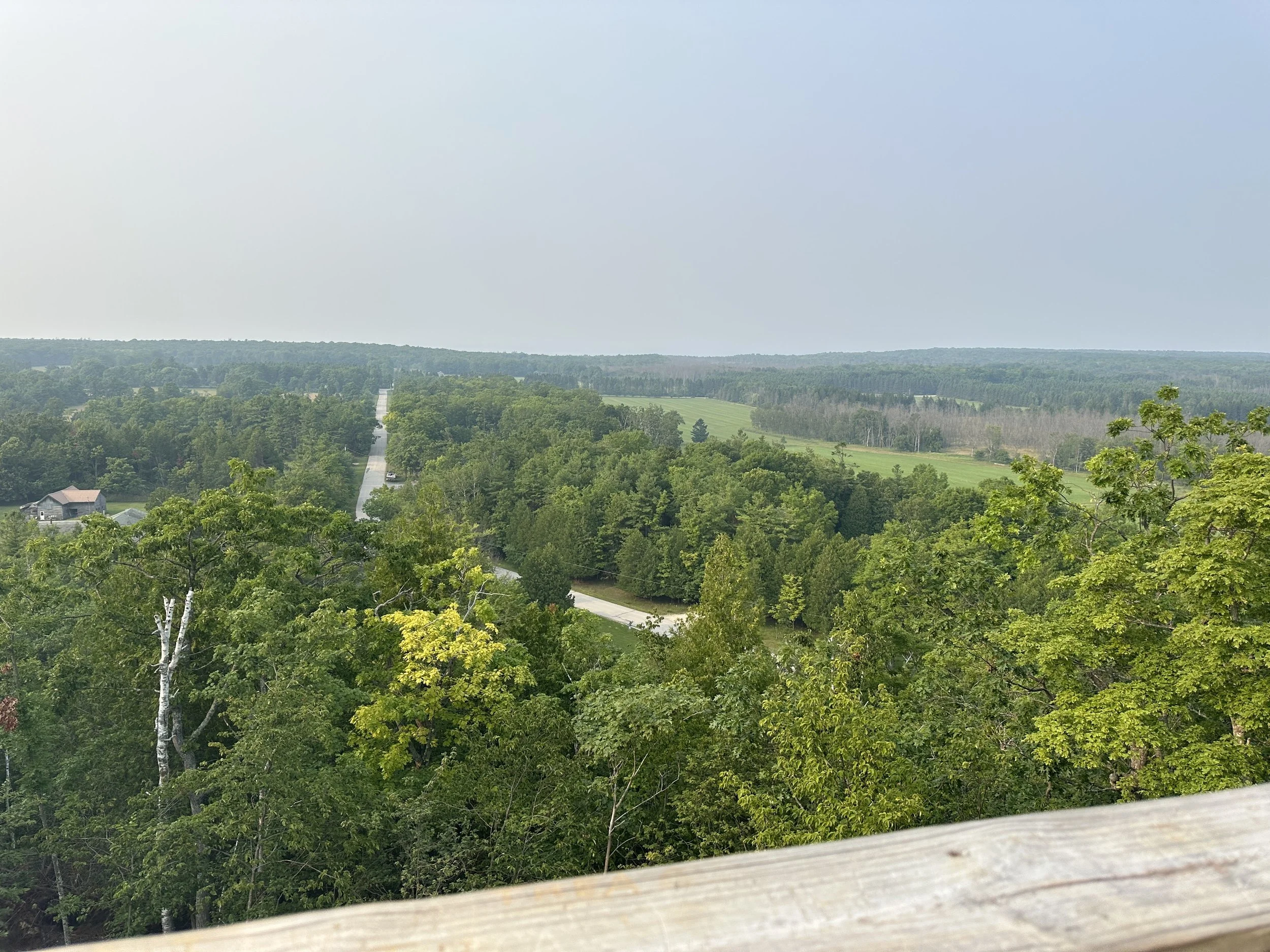 View from top of fire tower