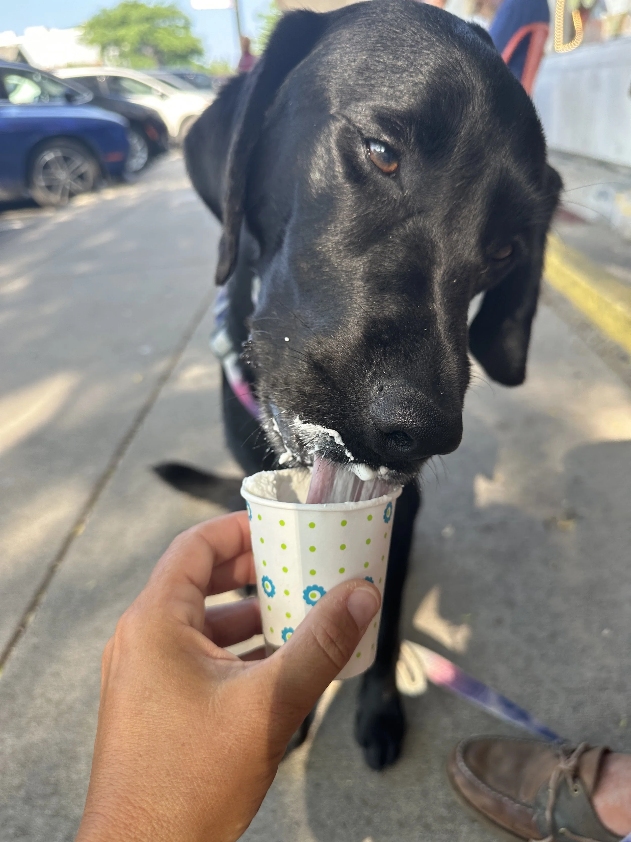 Nom nom nommity nom