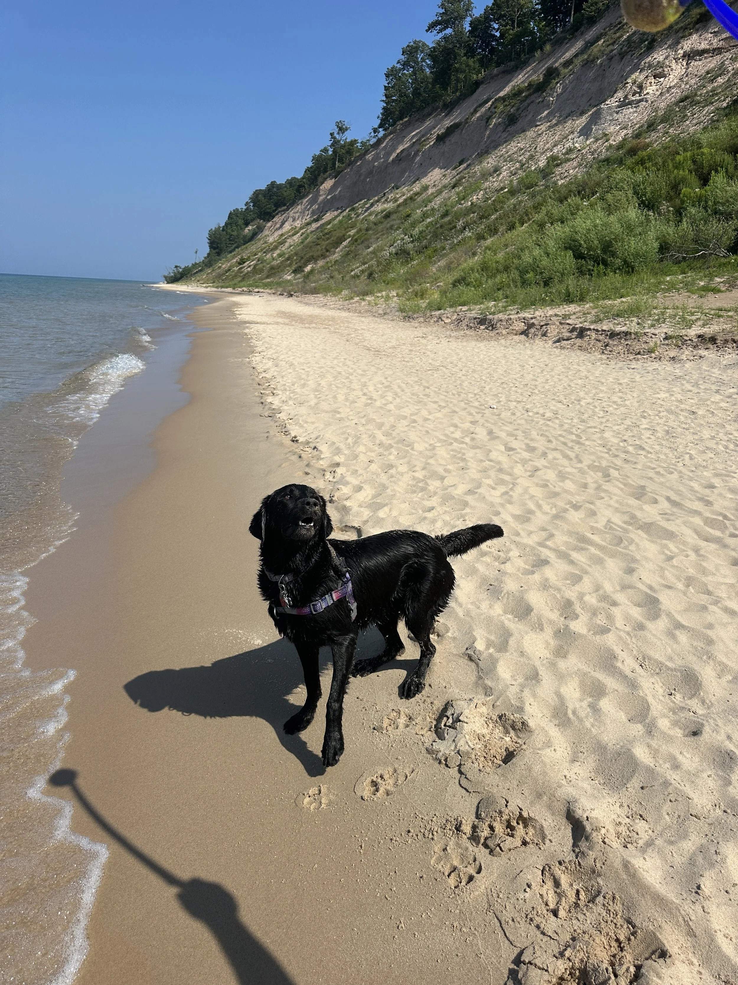 Views of Frankfort Beach