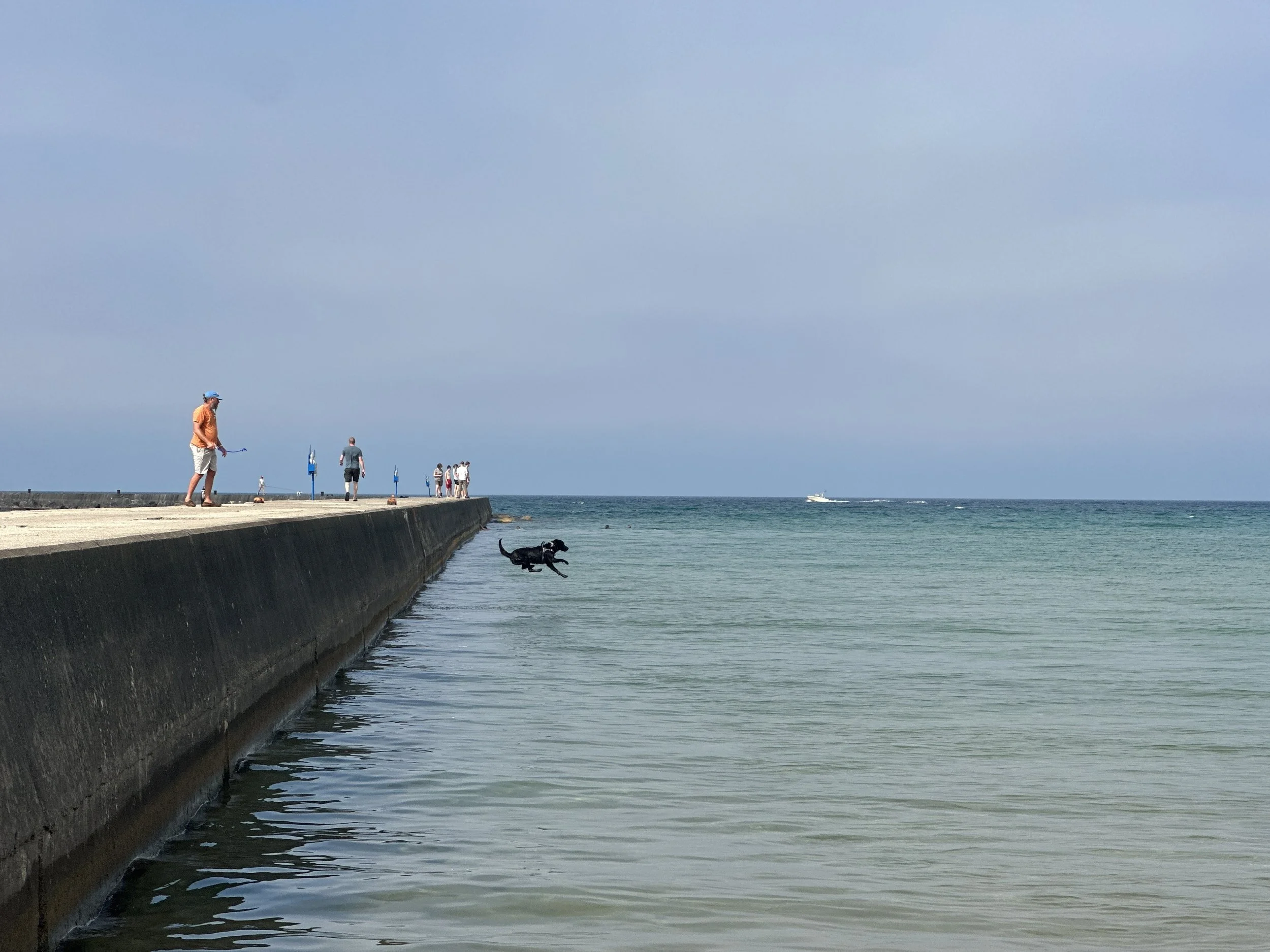 Kona pier jumping
