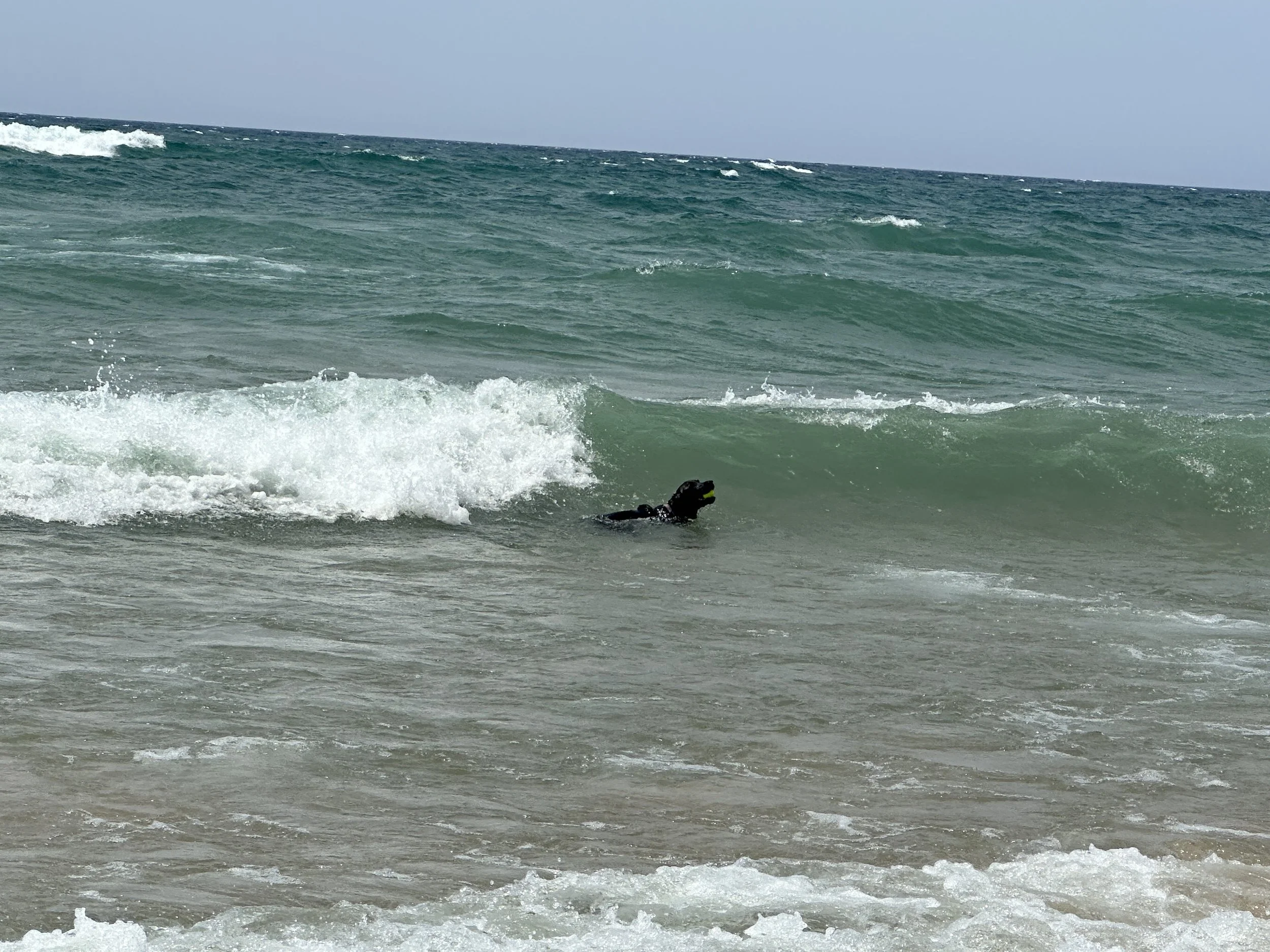 Kona surfing