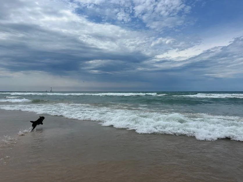 Kona enjoying the surf