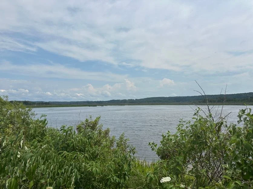 One of the views from the scooter ride