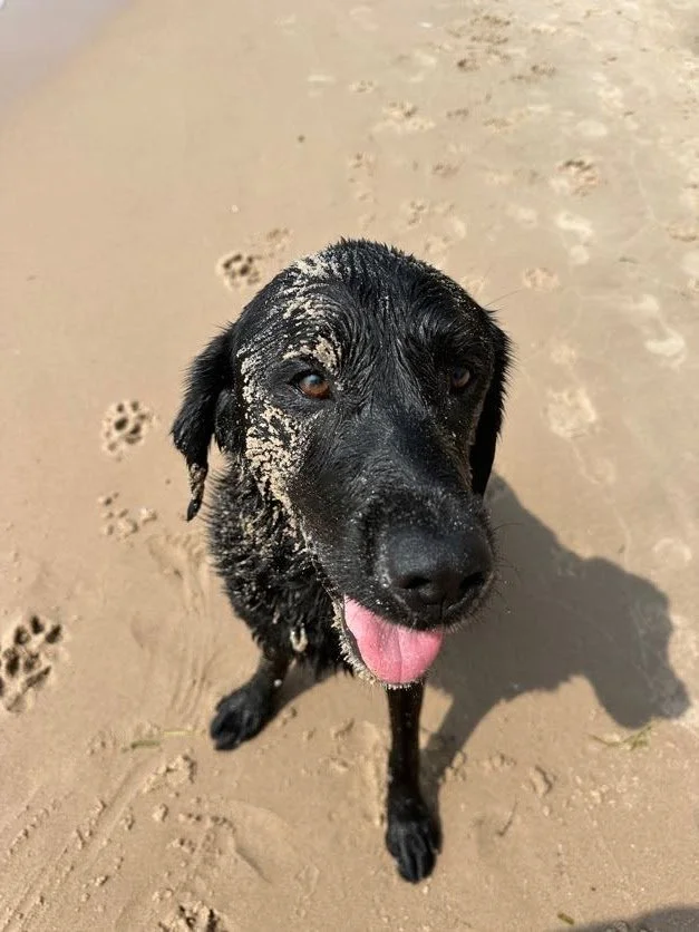 Two faced sand in snoot!