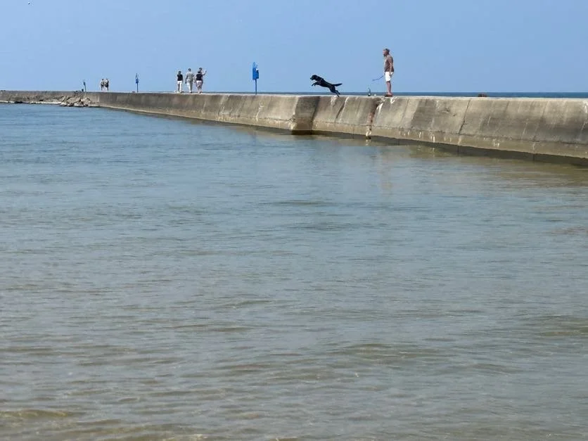 Kona getting some last pier jumps in