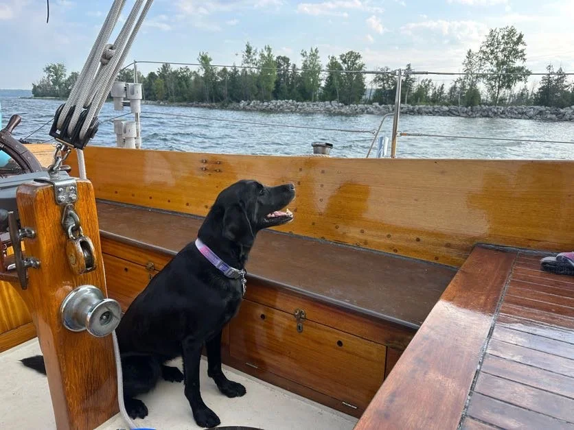 Kona smells land!