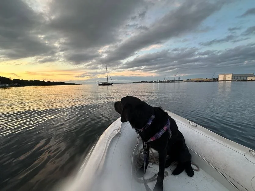 Kona's ready to go home