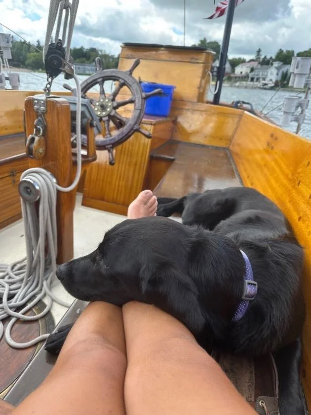 Kona chilling with me for bruch