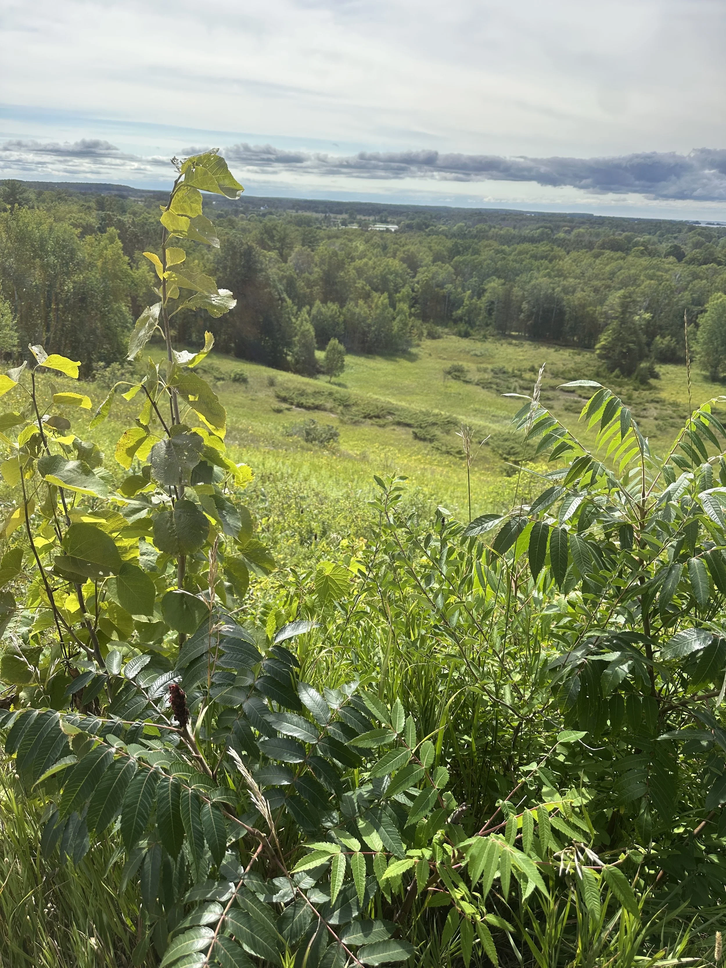 Views down old ski jump hill