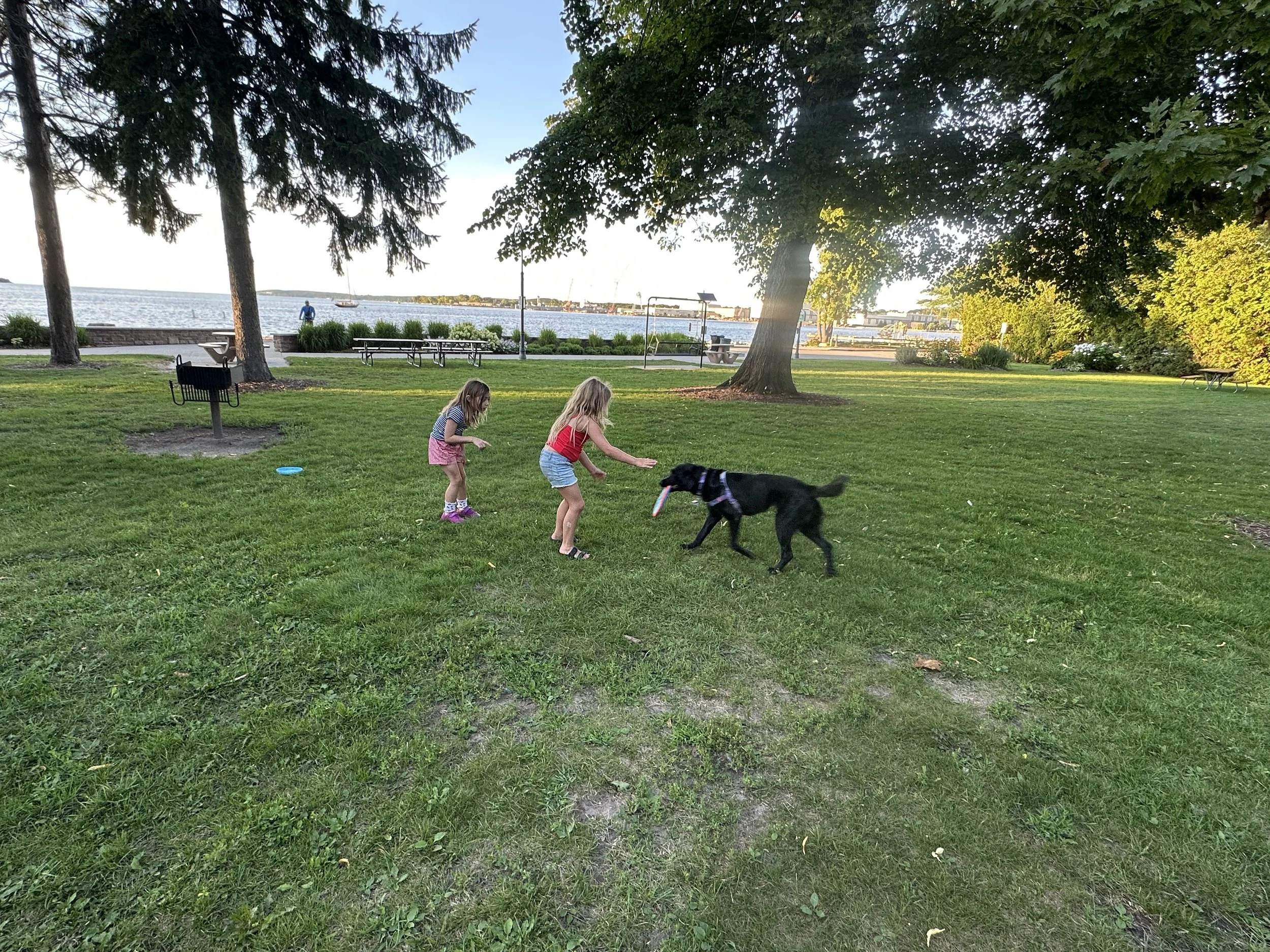 Kona with her new friends