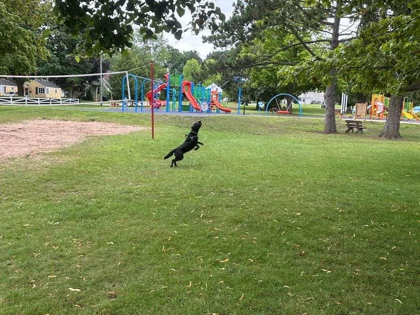 All the action shots of Kona doing her thing