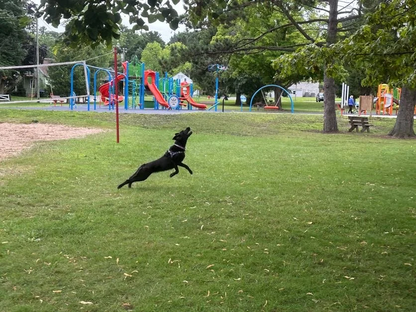 All the action shots of Kona doing her thing