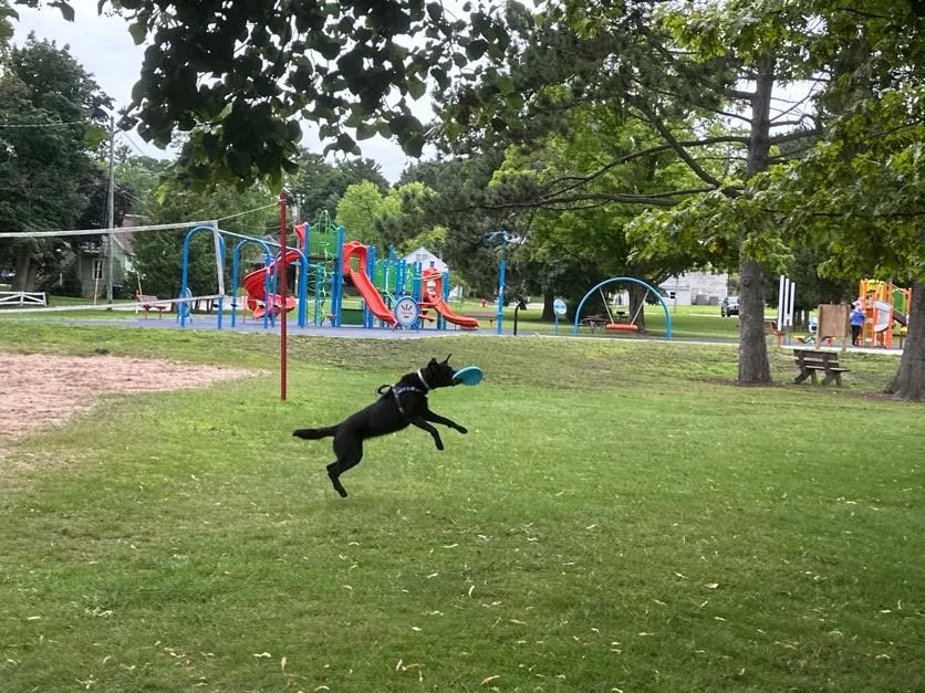 All the action shots of Kona doing her thing