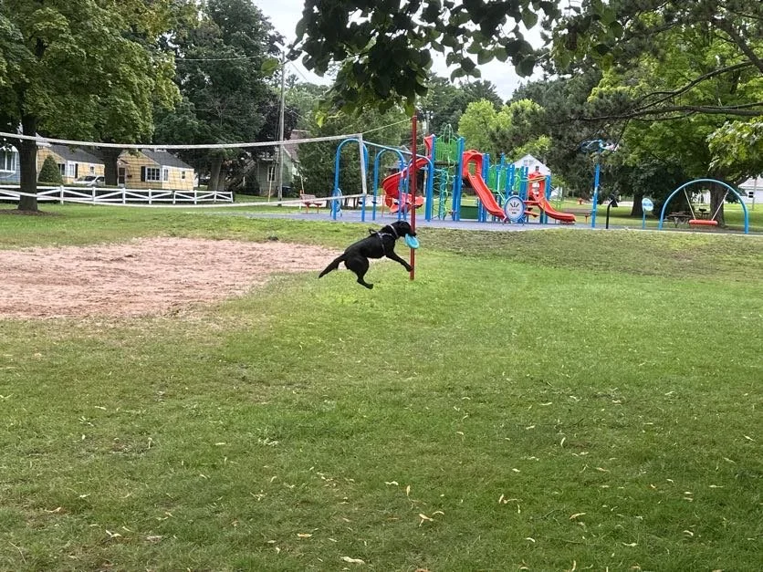 All the action shots of Kona doing her thing