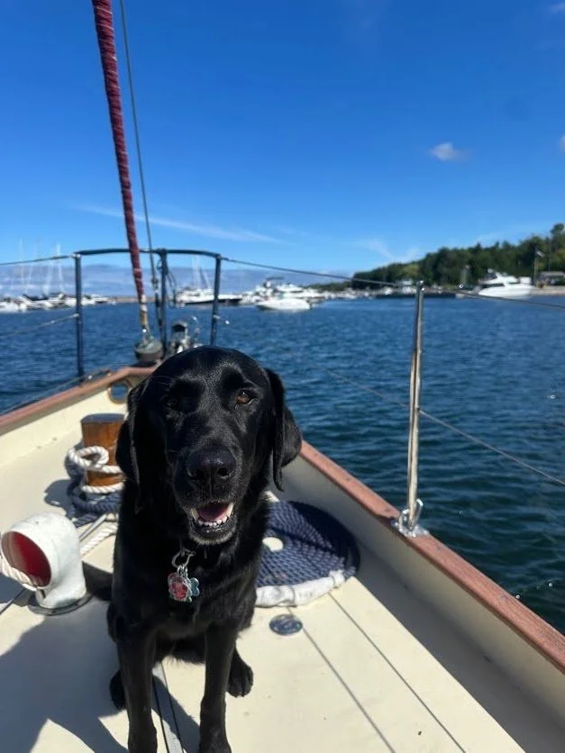 Kona soaking up the beautiful day