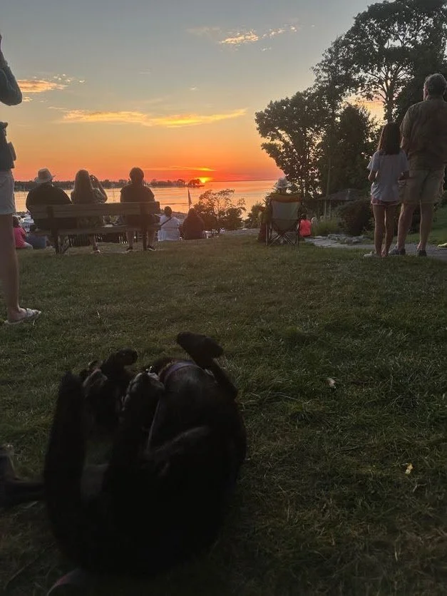 Kona rubbing her back, unaffected by the sunset