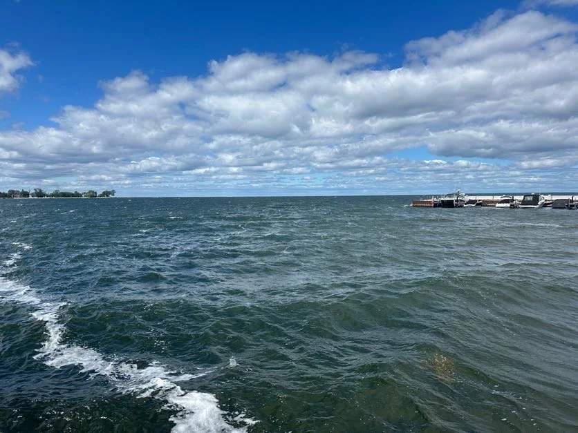 Views of the waves coming in