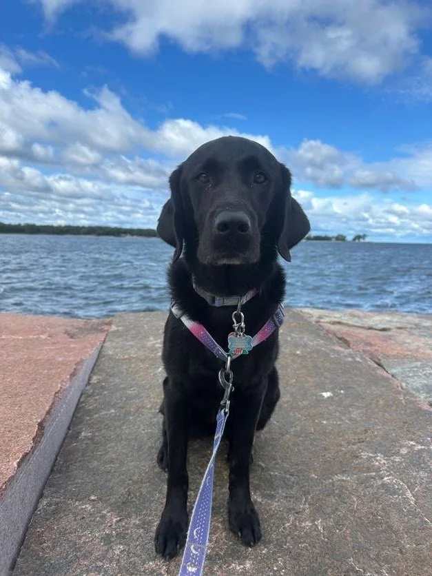 Yep, she's my girl and I take lots of pictures of her