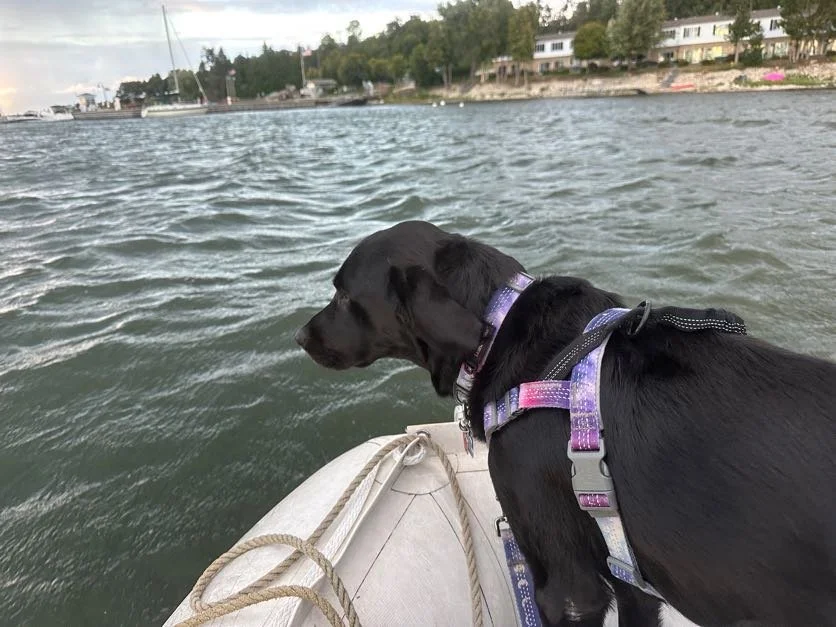 Kona saying "please get me off the ship."