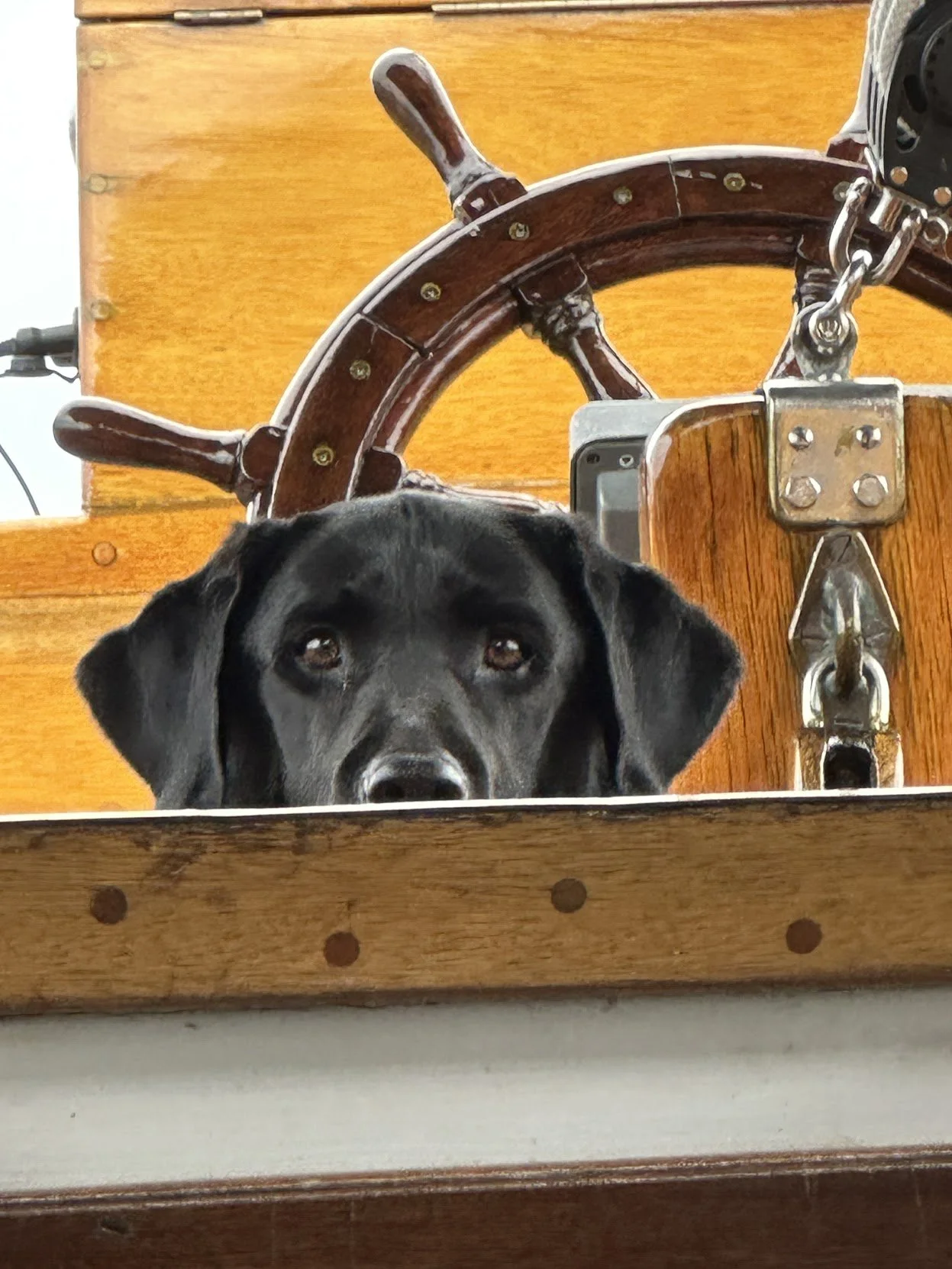 Preparing for foul weather