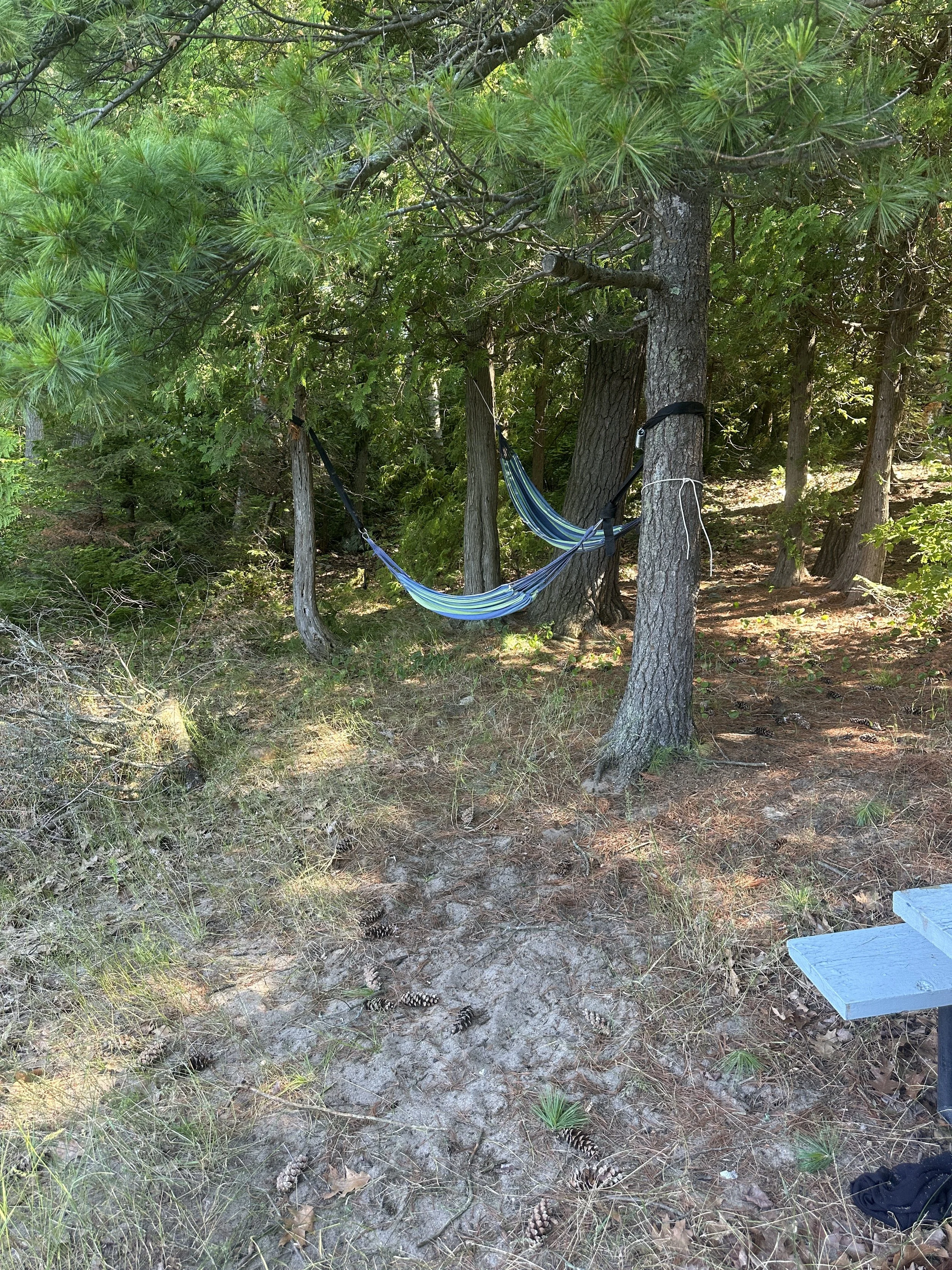 Shore hammocks 