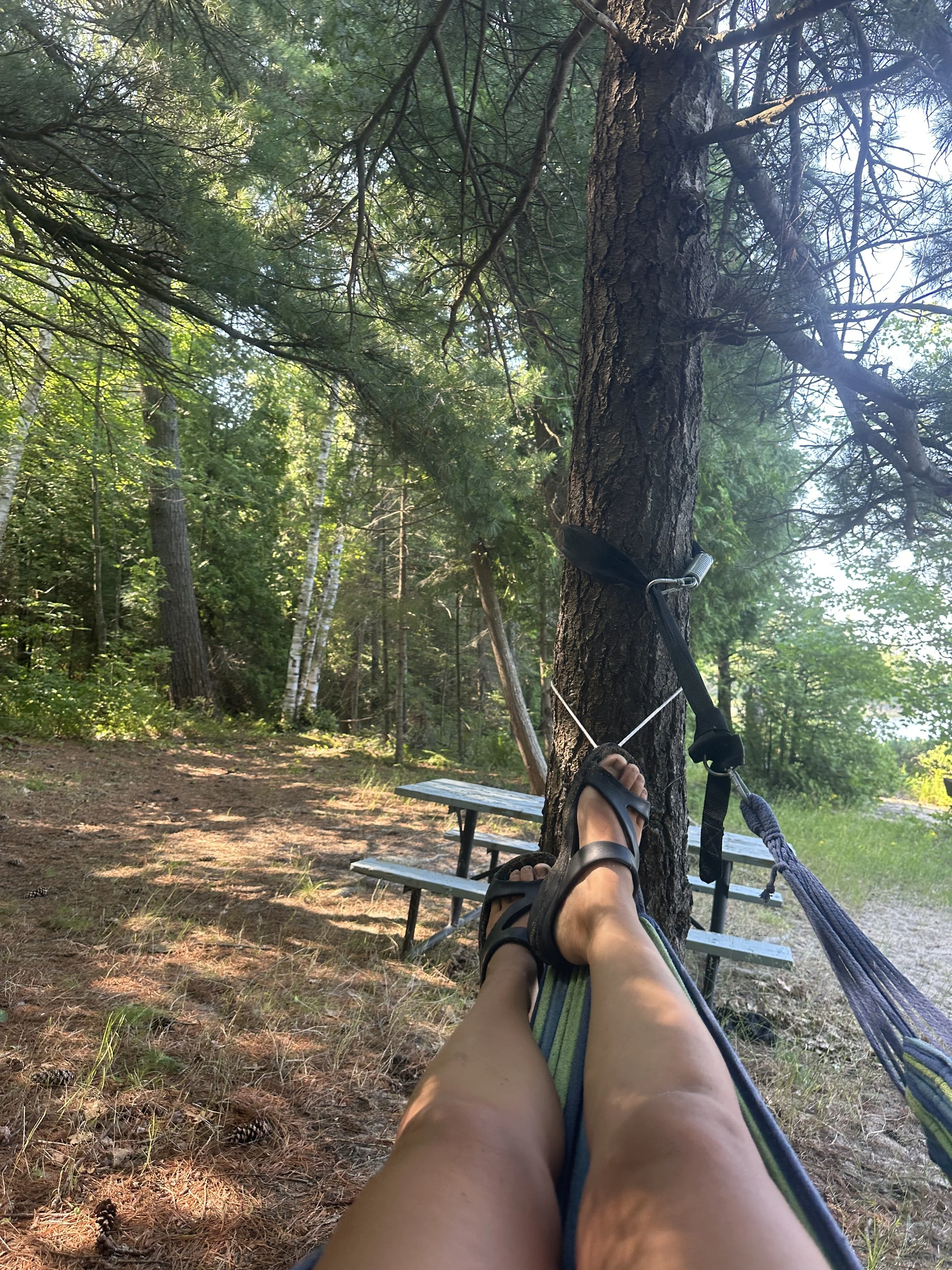 Inspecting the hammocks
