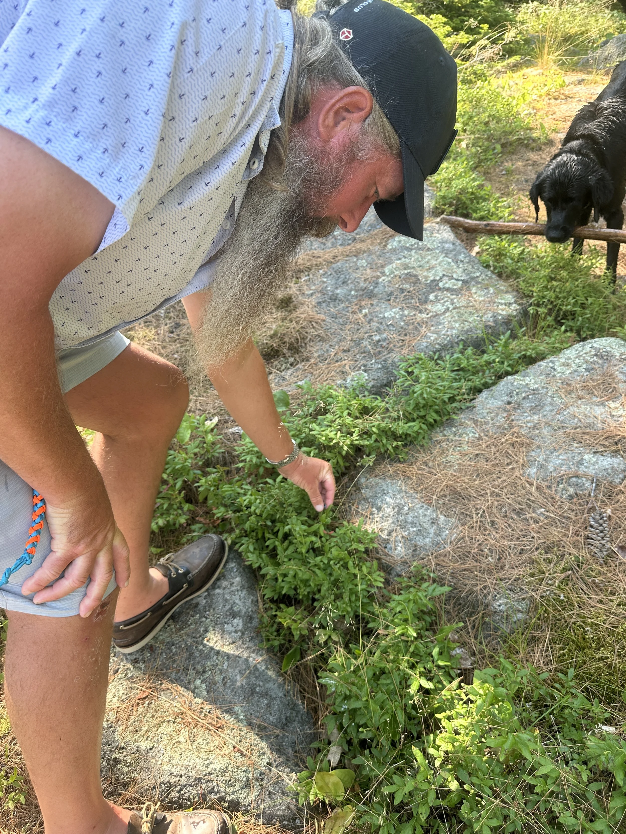 Captain found his first blueberries