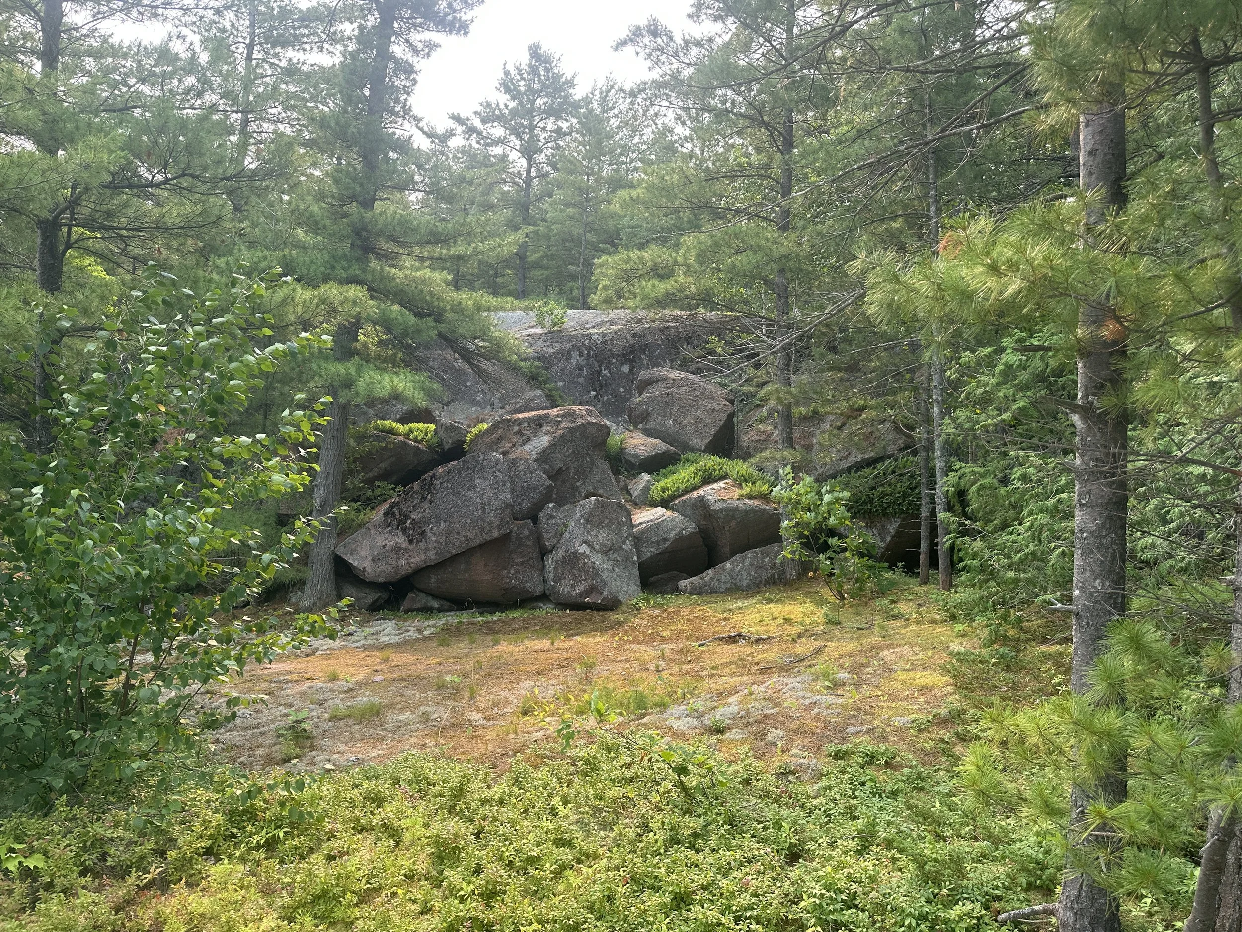 Pretty rocks