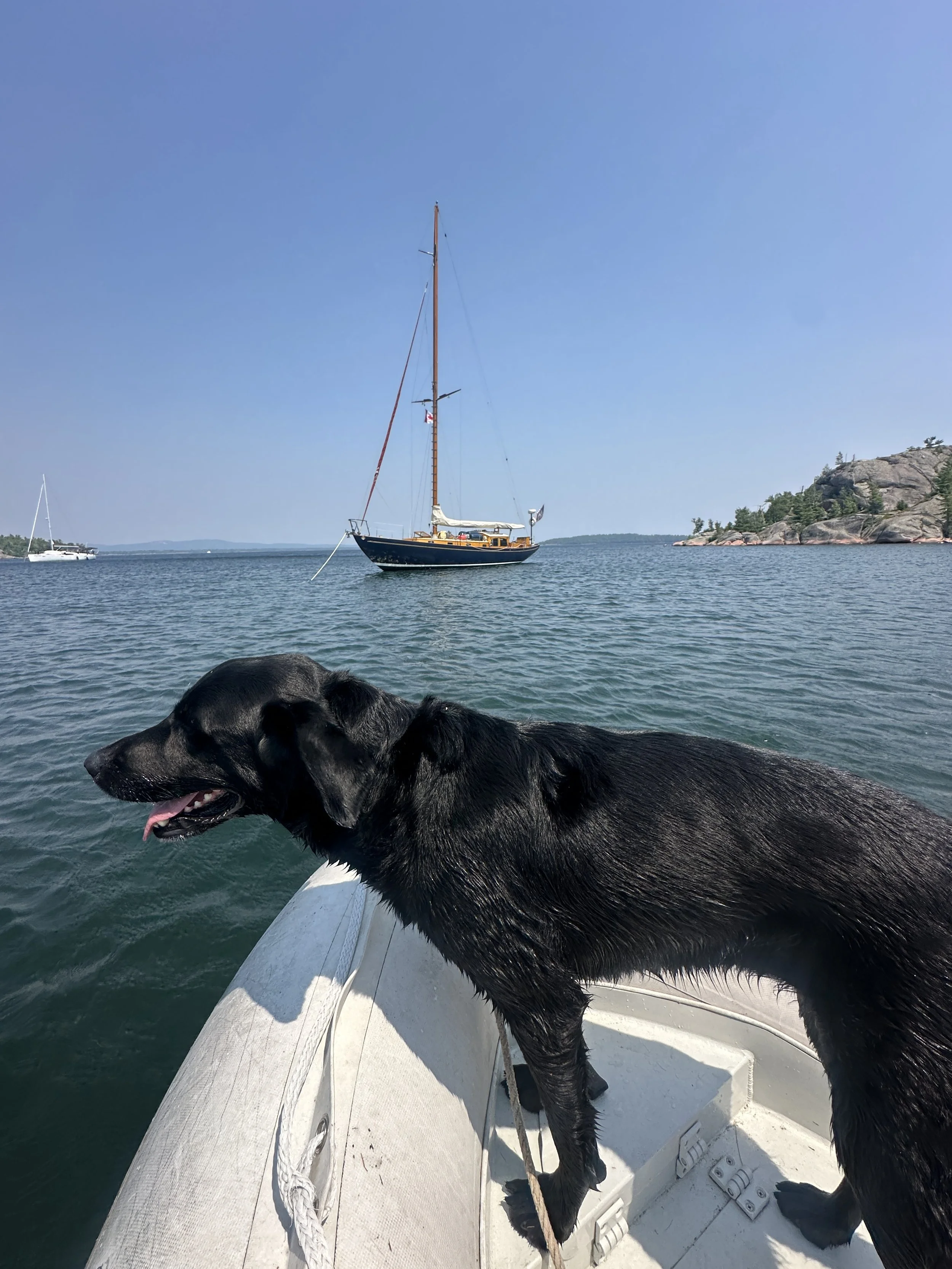 Kona and Ciara