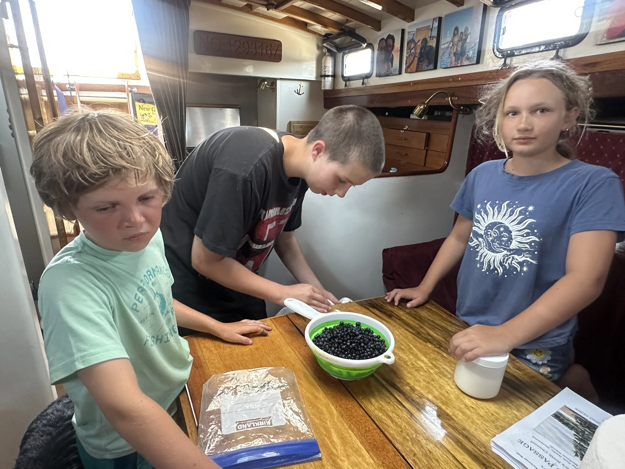 Making blueberry lemonade