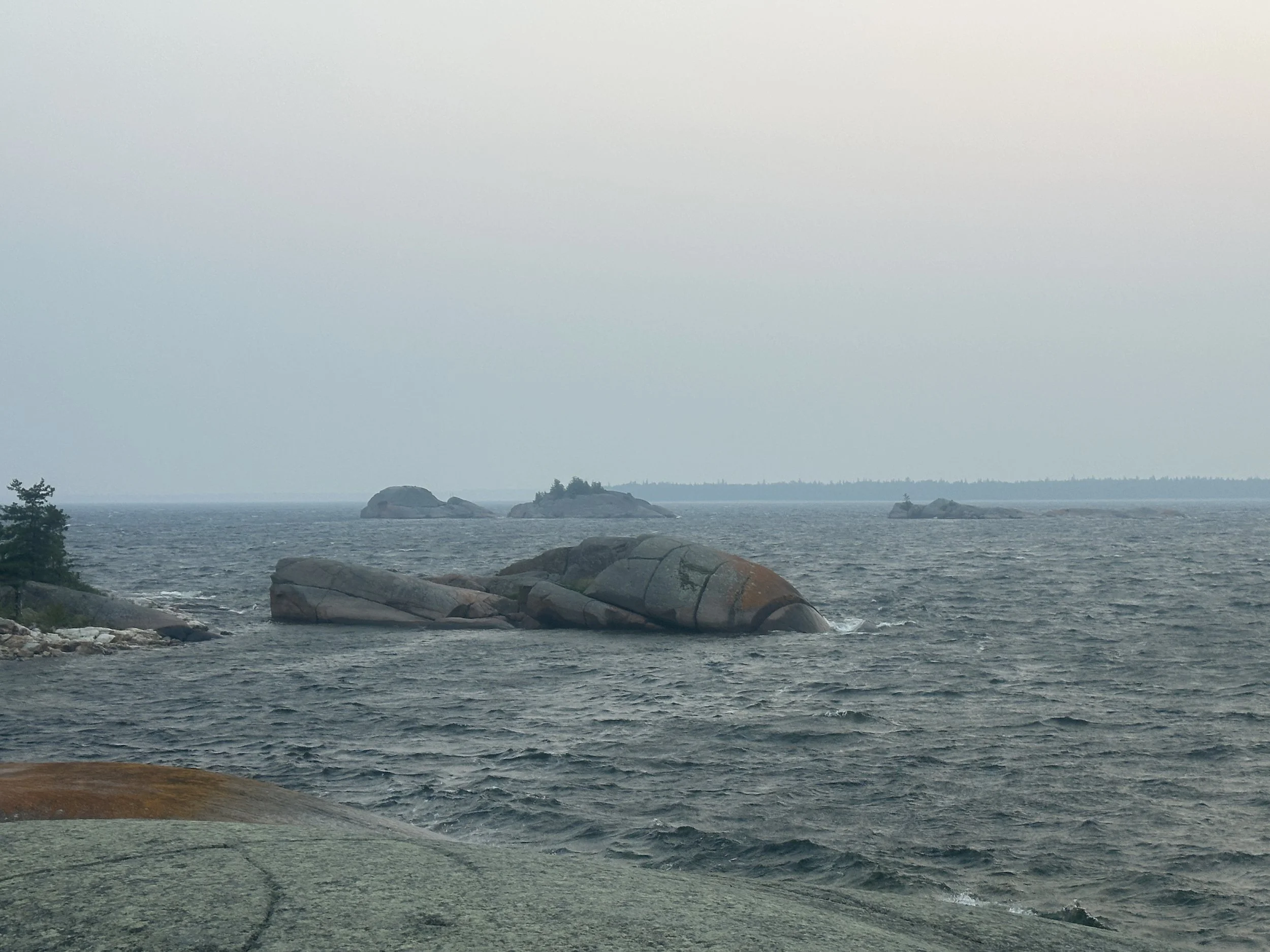 Pouty fish rock
