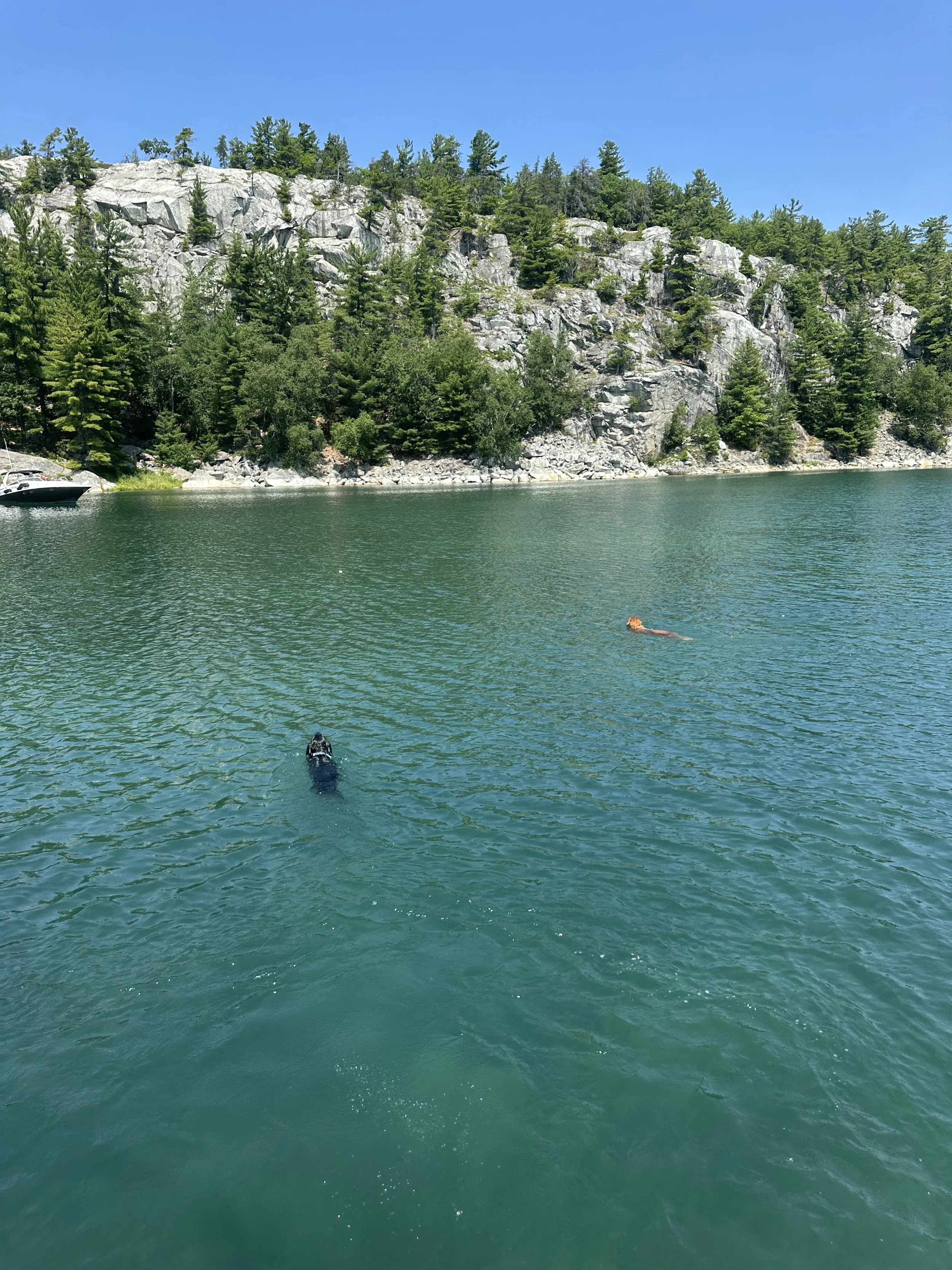 Fetch competition
