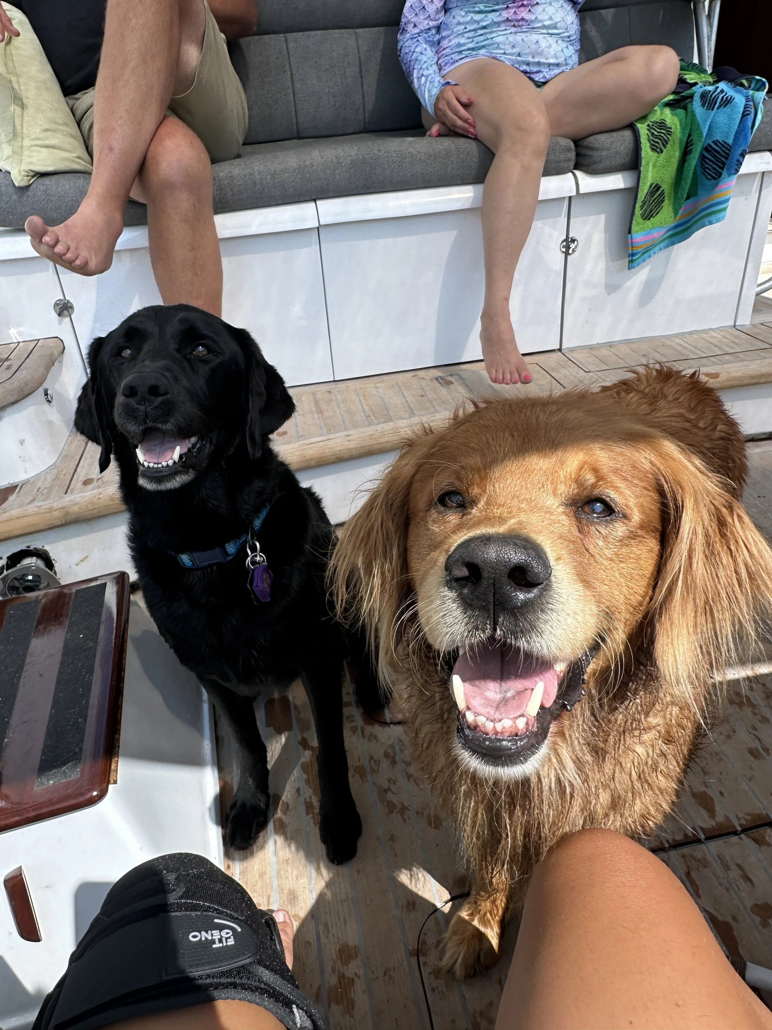 Kona and Harley