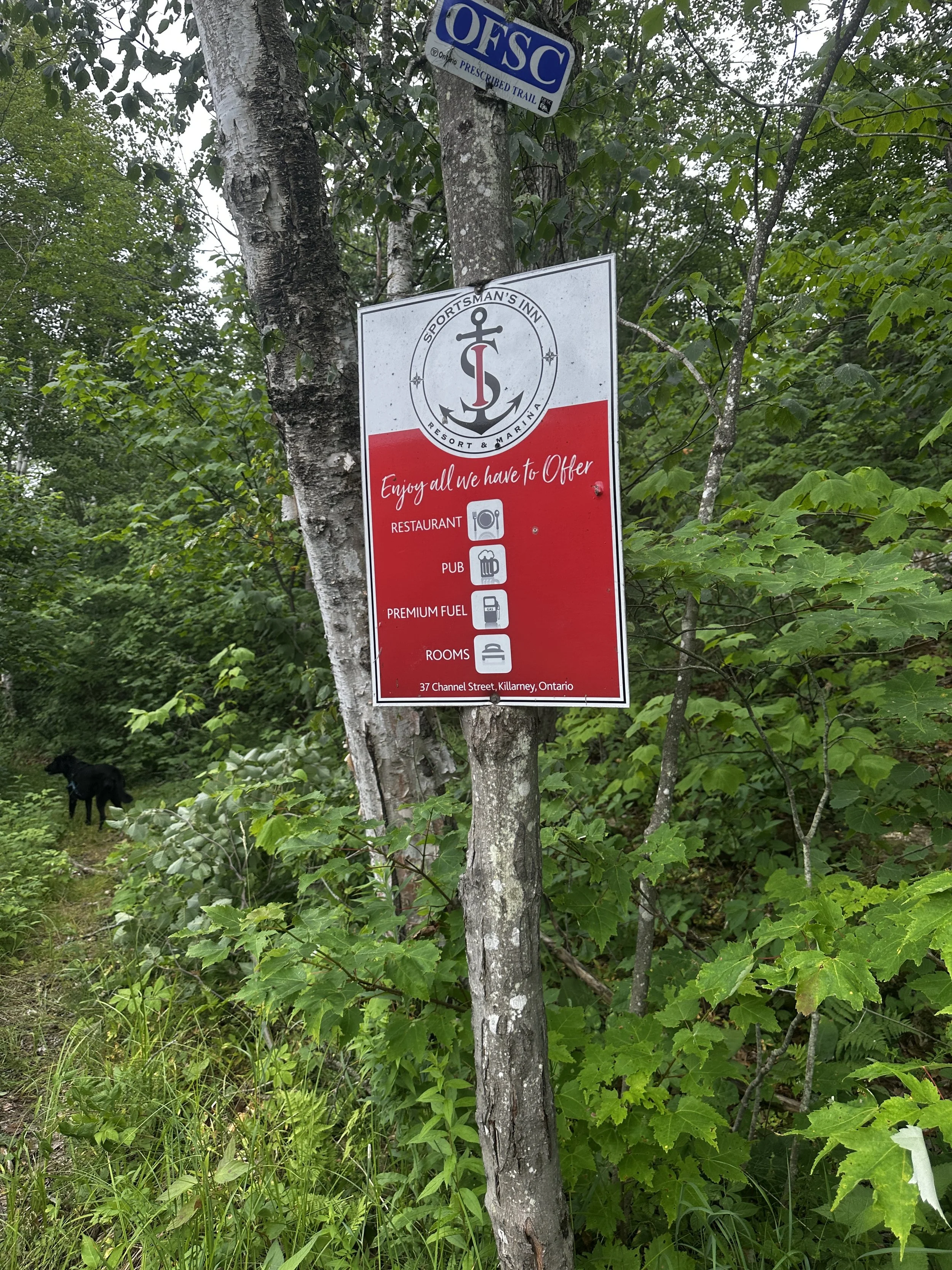 Advertisment on trail