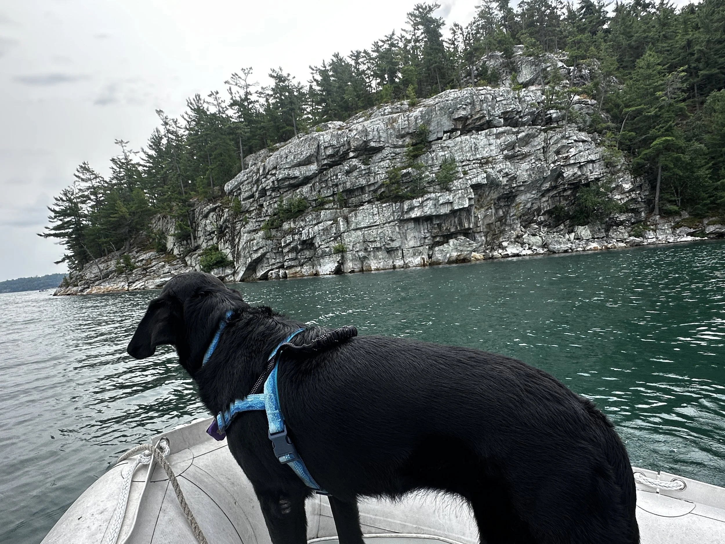 Dinghy ride