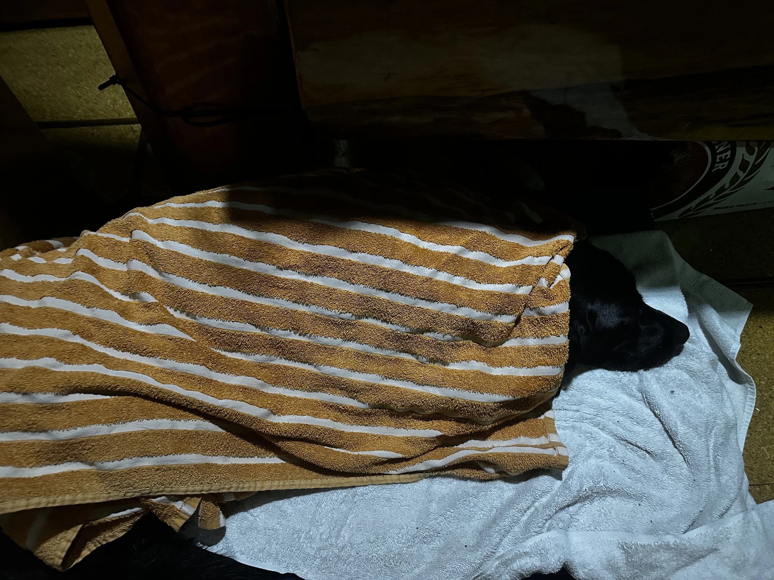 Kona dealing with towels