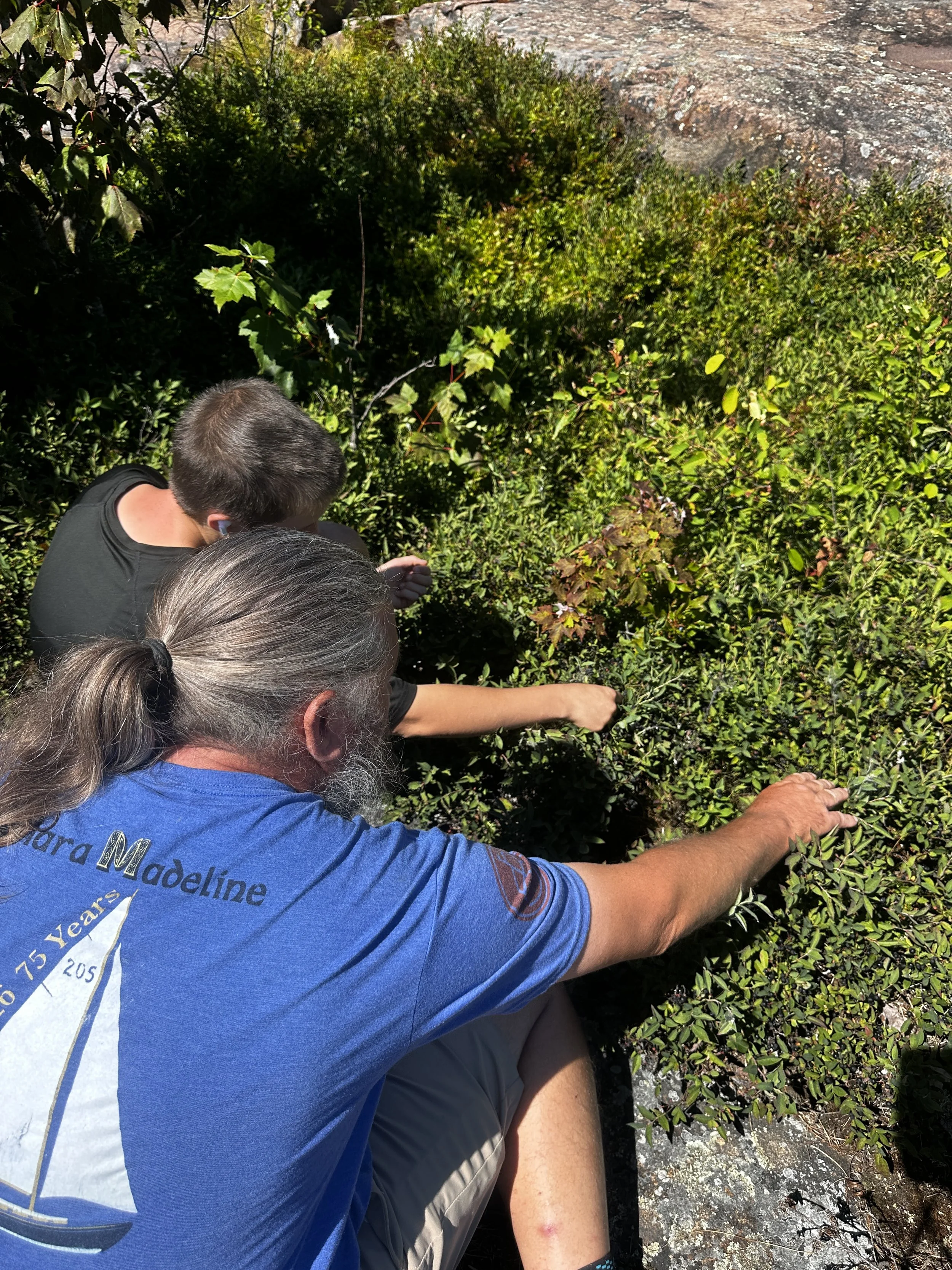 These two love picking blueberries