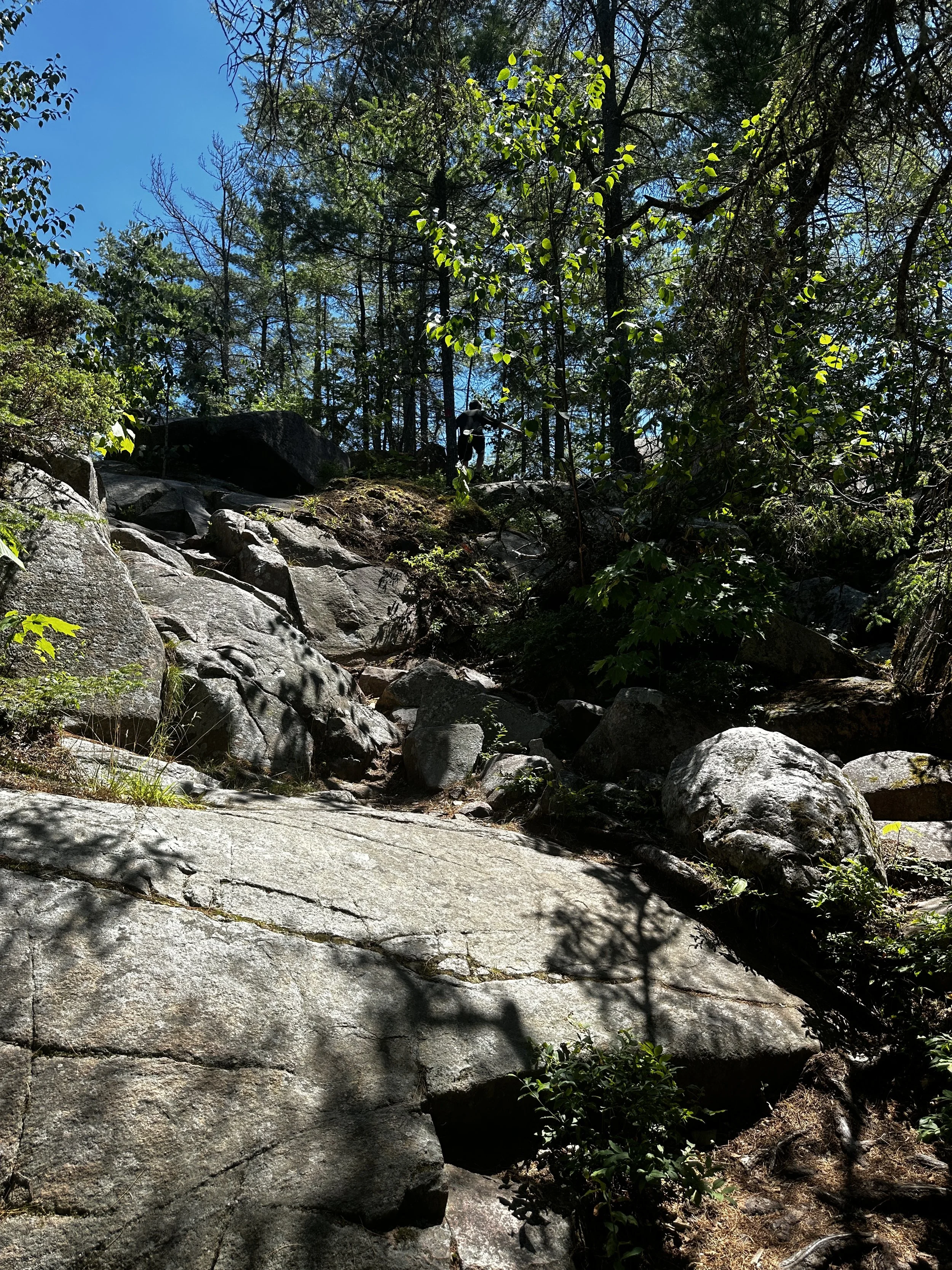Views from hike