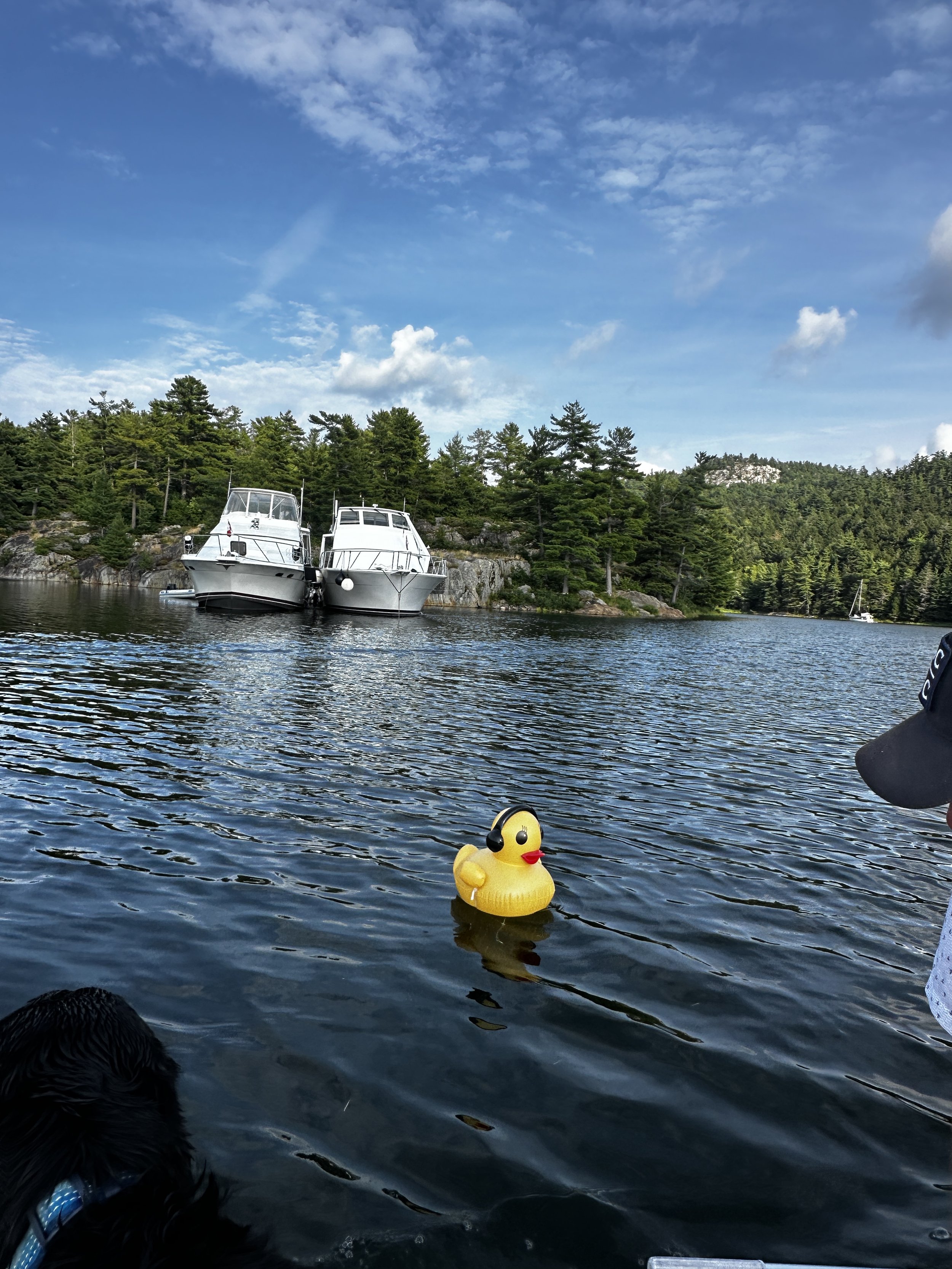 Another anchor duck!