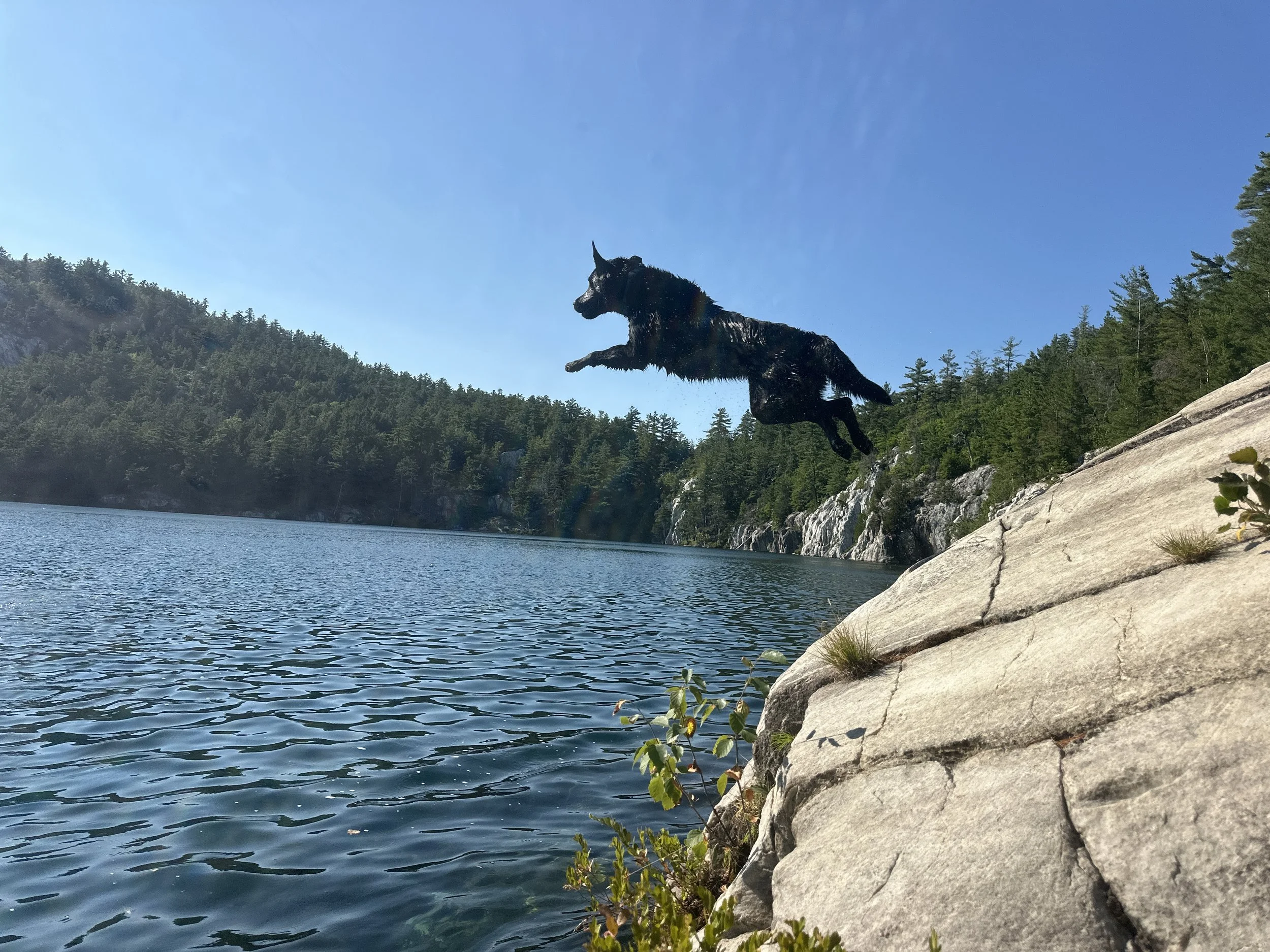 Kona jumps!