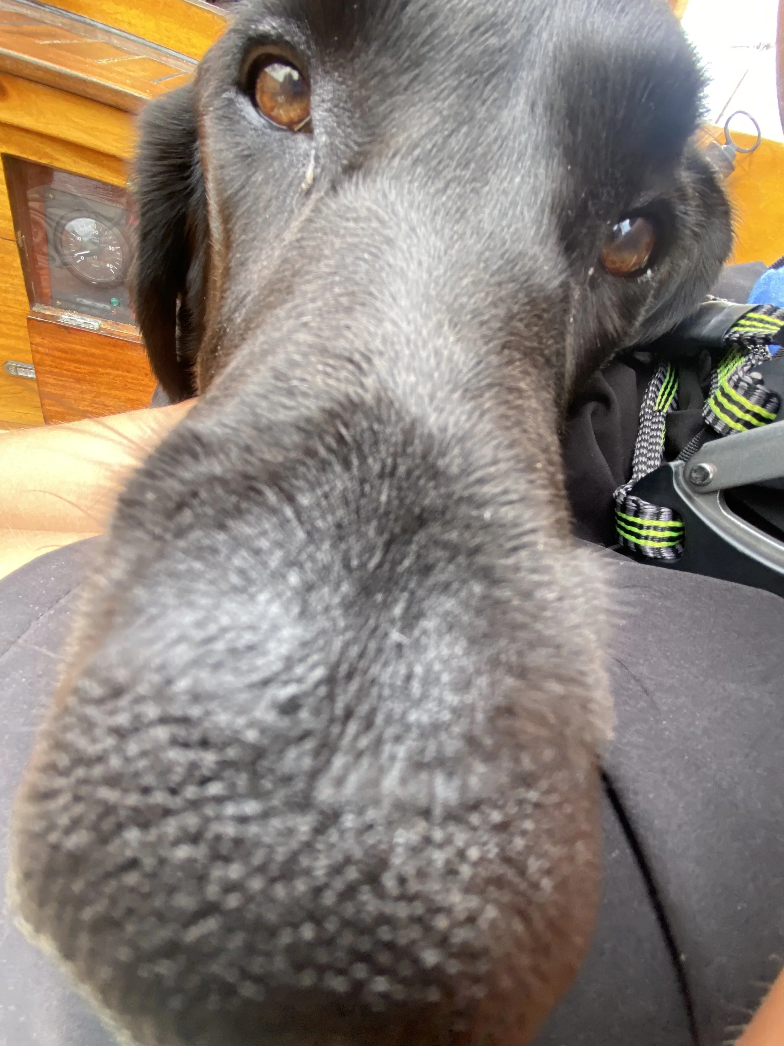 Cory got a funny Kona photo