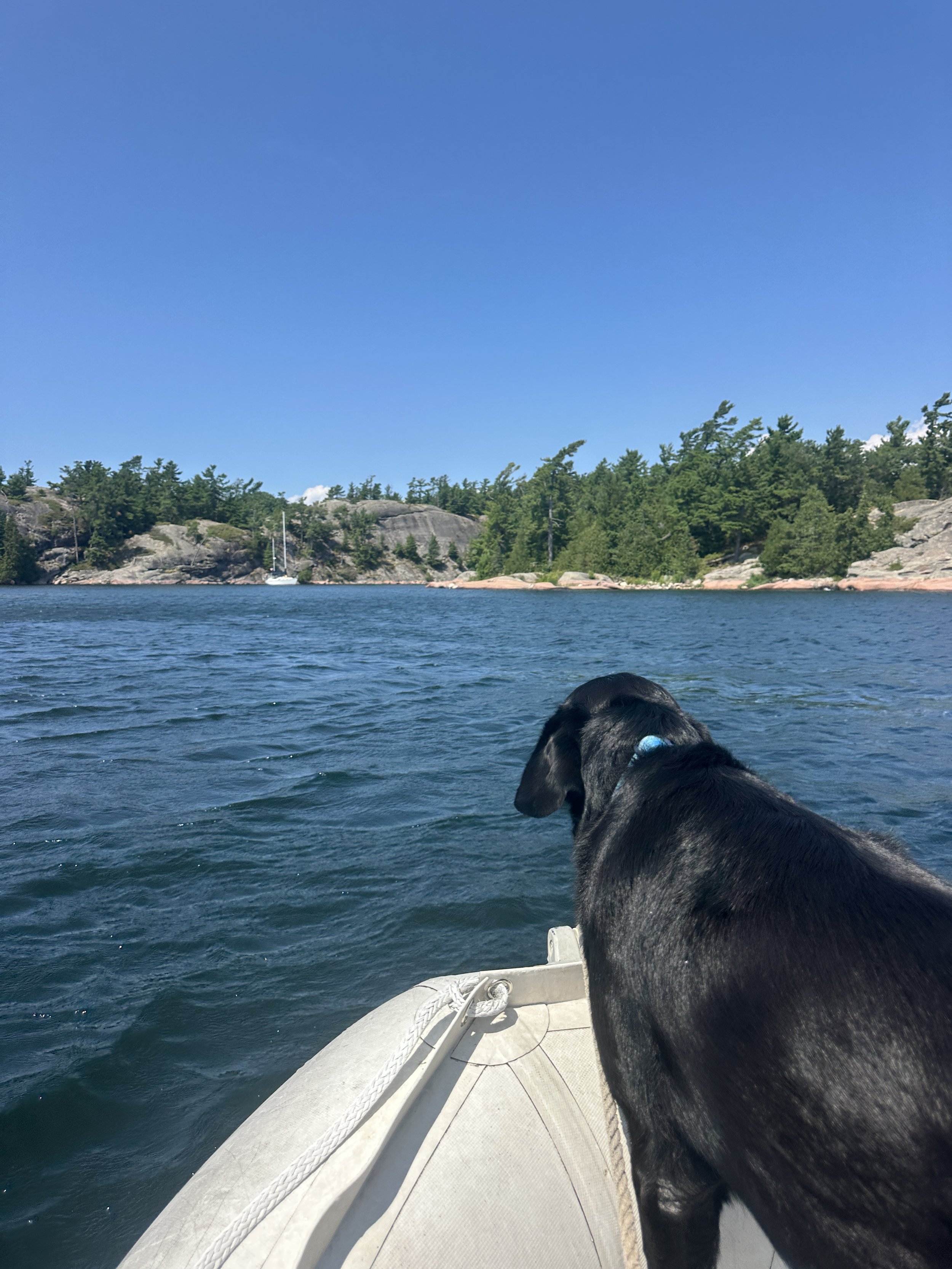 Kona on an adventure