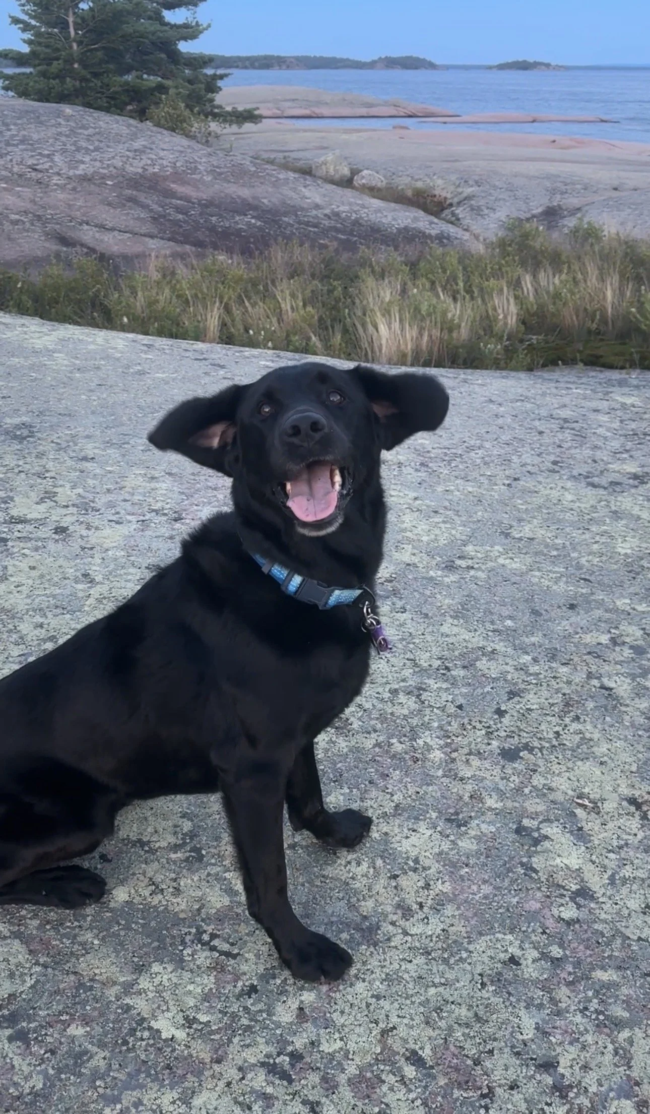 Flying Kona!