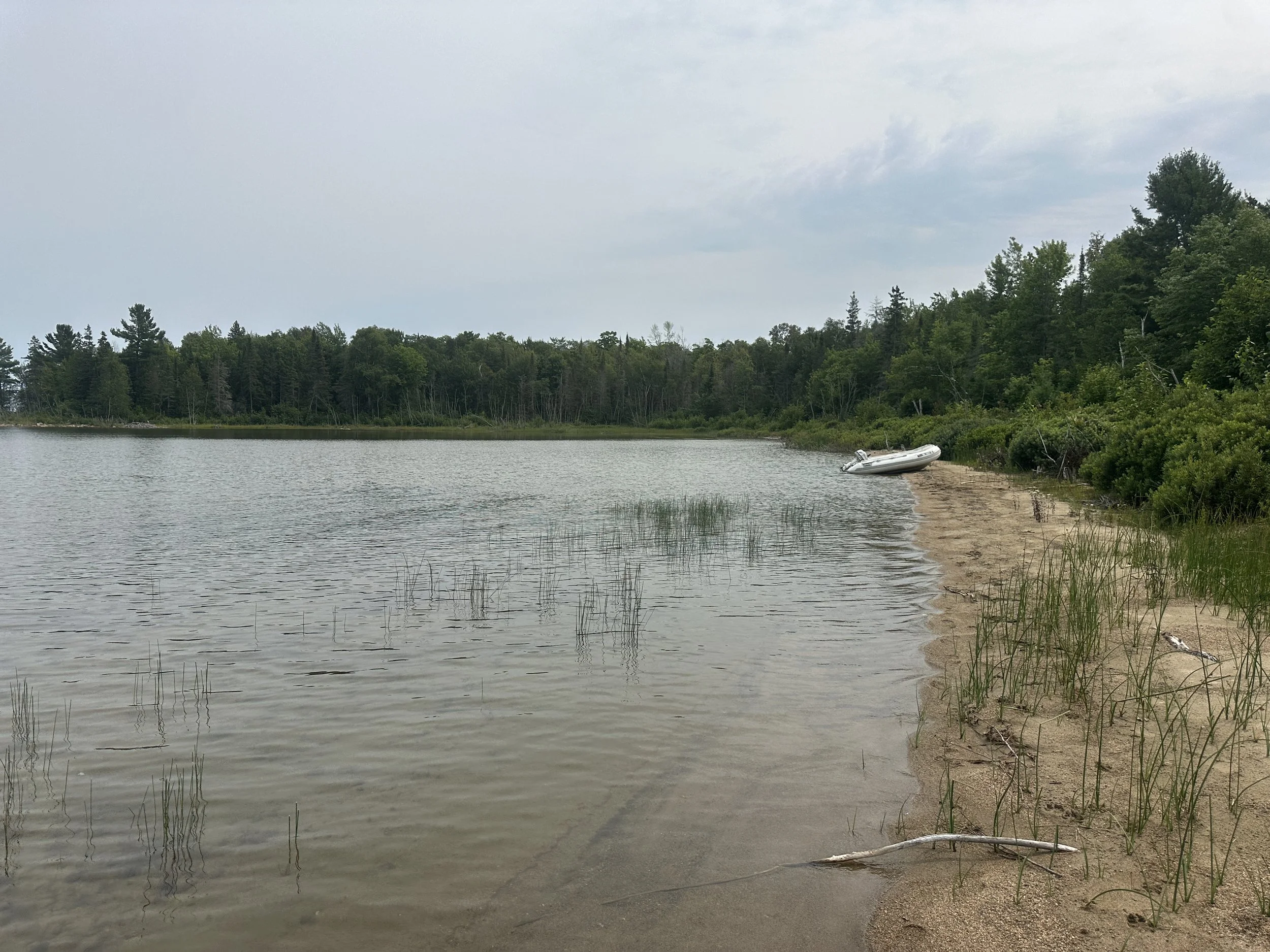 Nice sand beach at western Turnbull