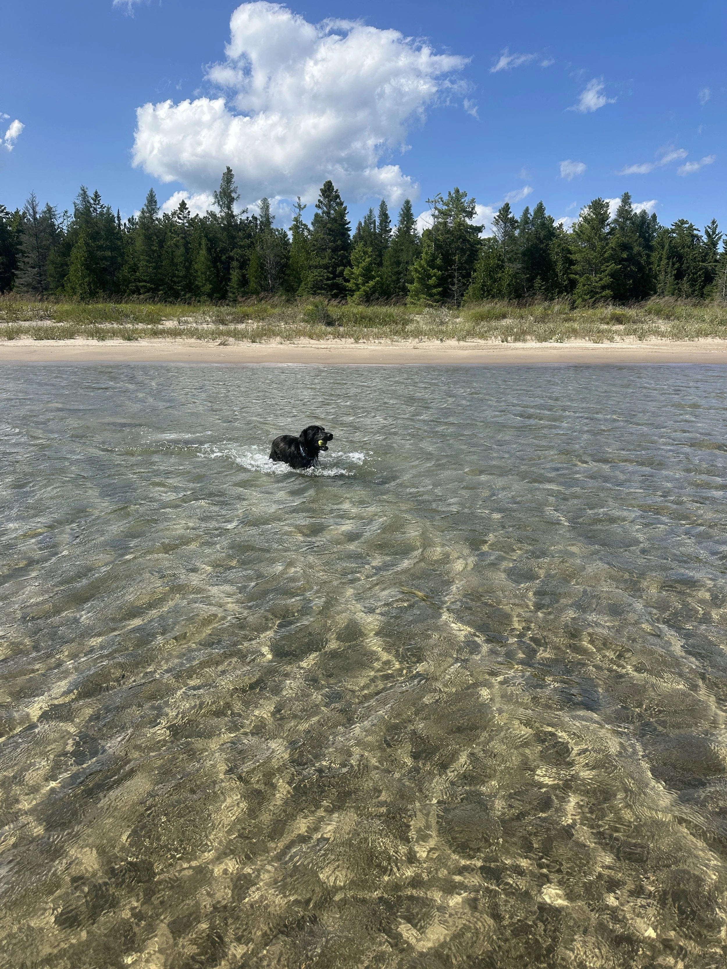 Kona thoroughly enjoying herself